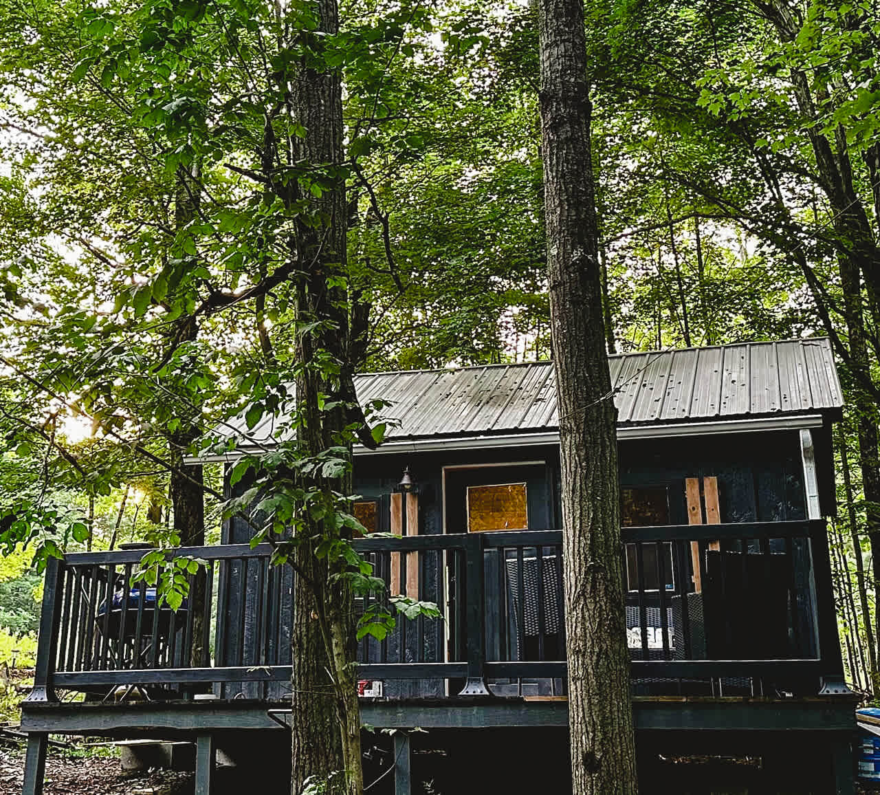 Little Bear Camp