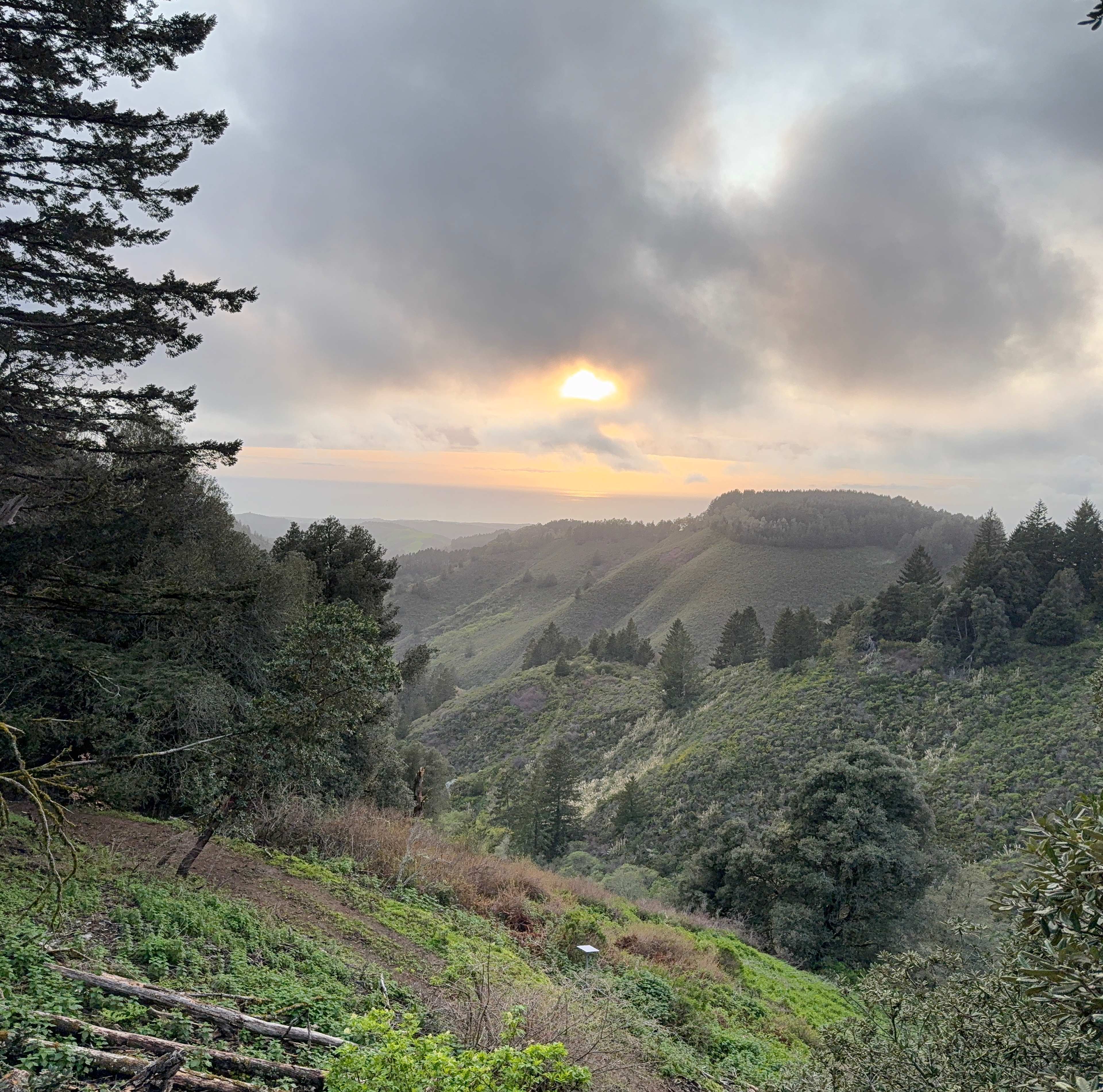 Kings Mountain Camp w/ ocean views