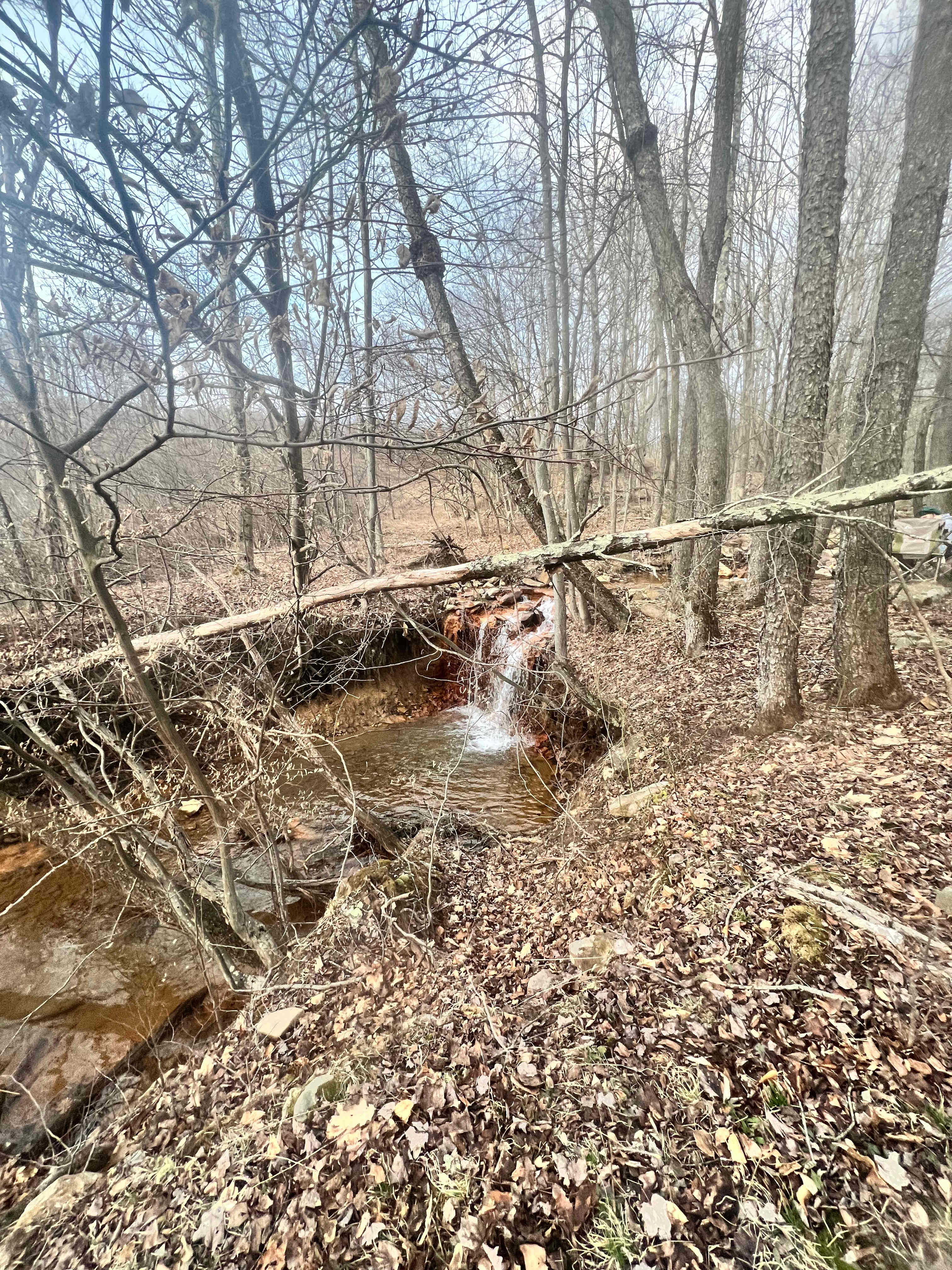 The waterfall