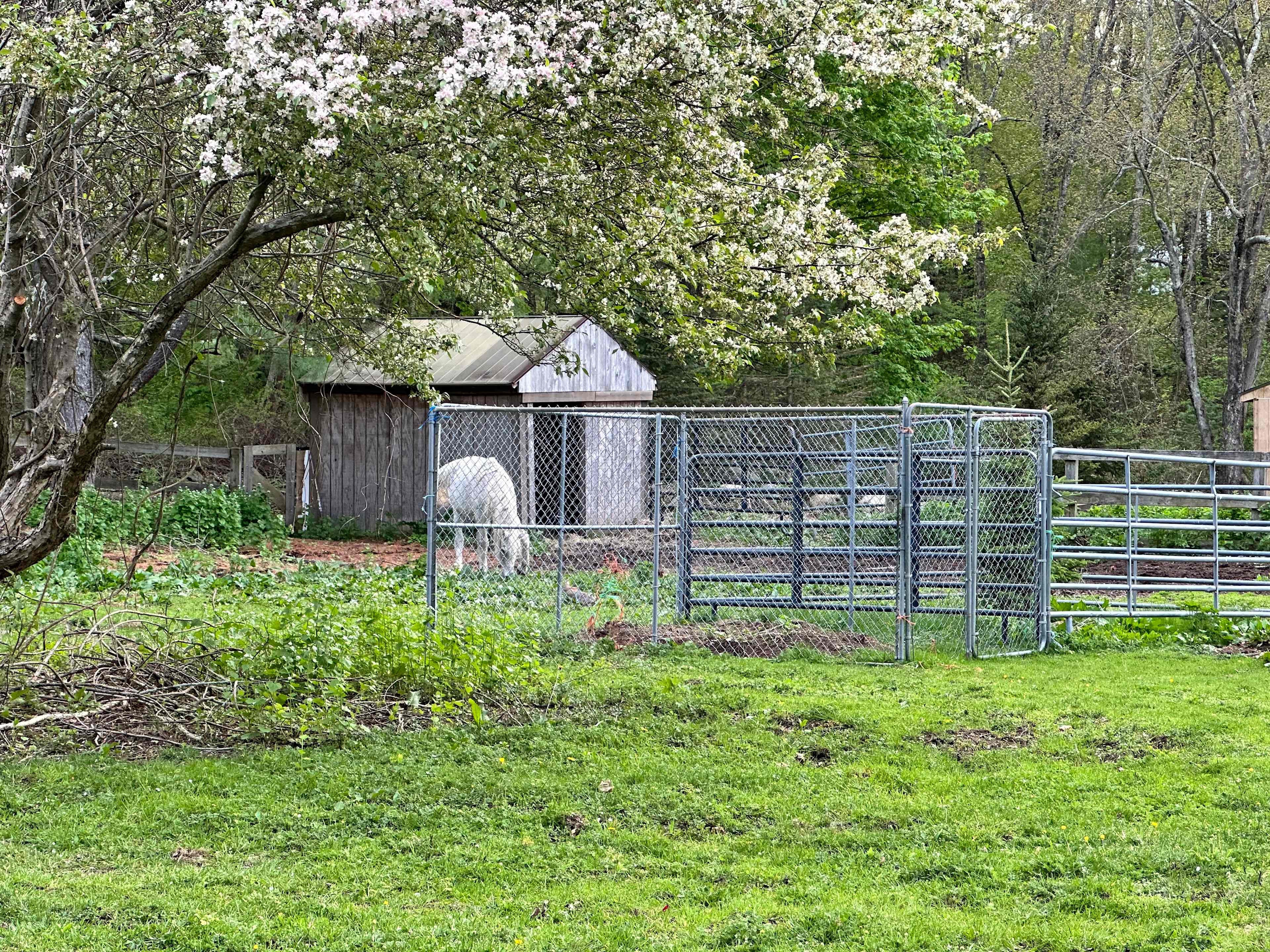 Inn On The Horse Farm