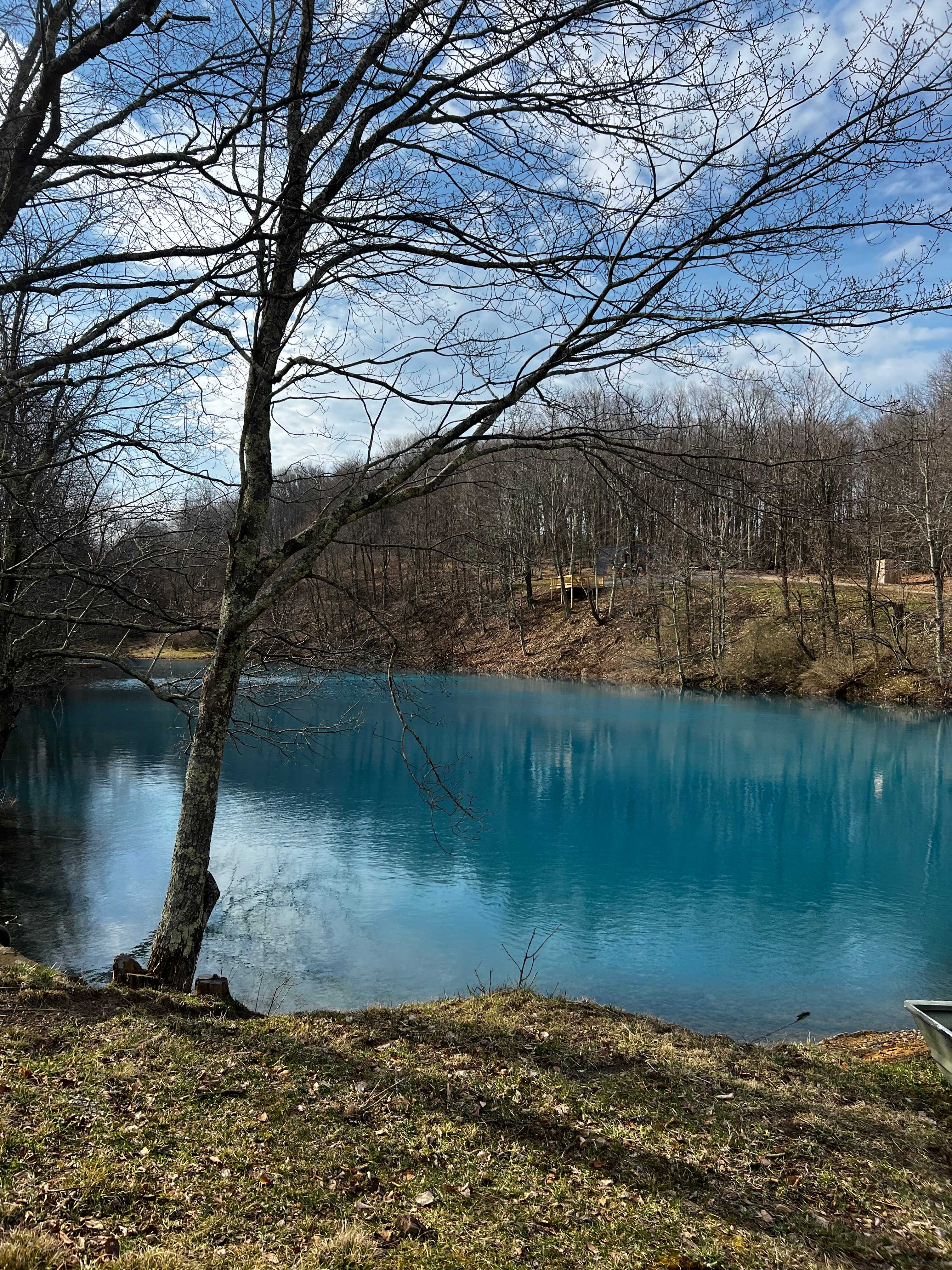 Bear Run Farms