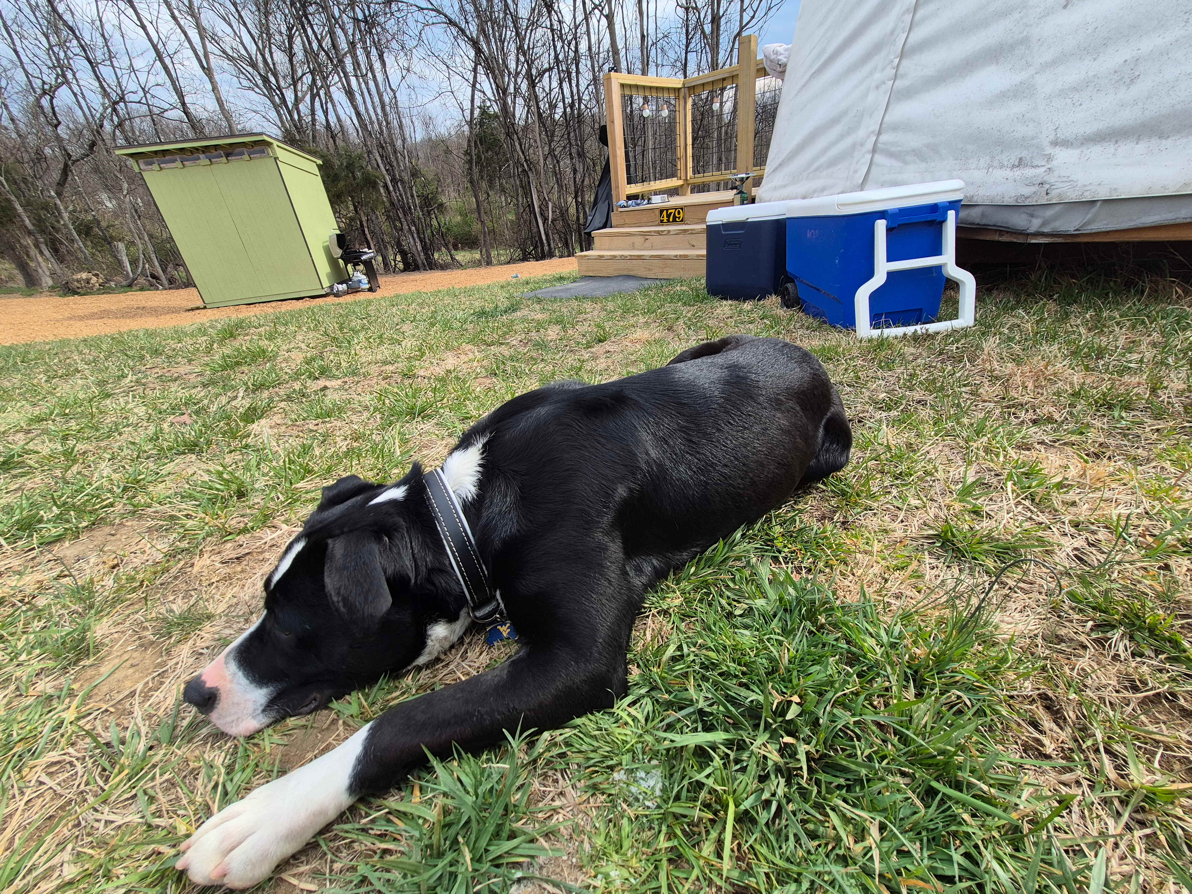 Our Farm in Strasburg, VA