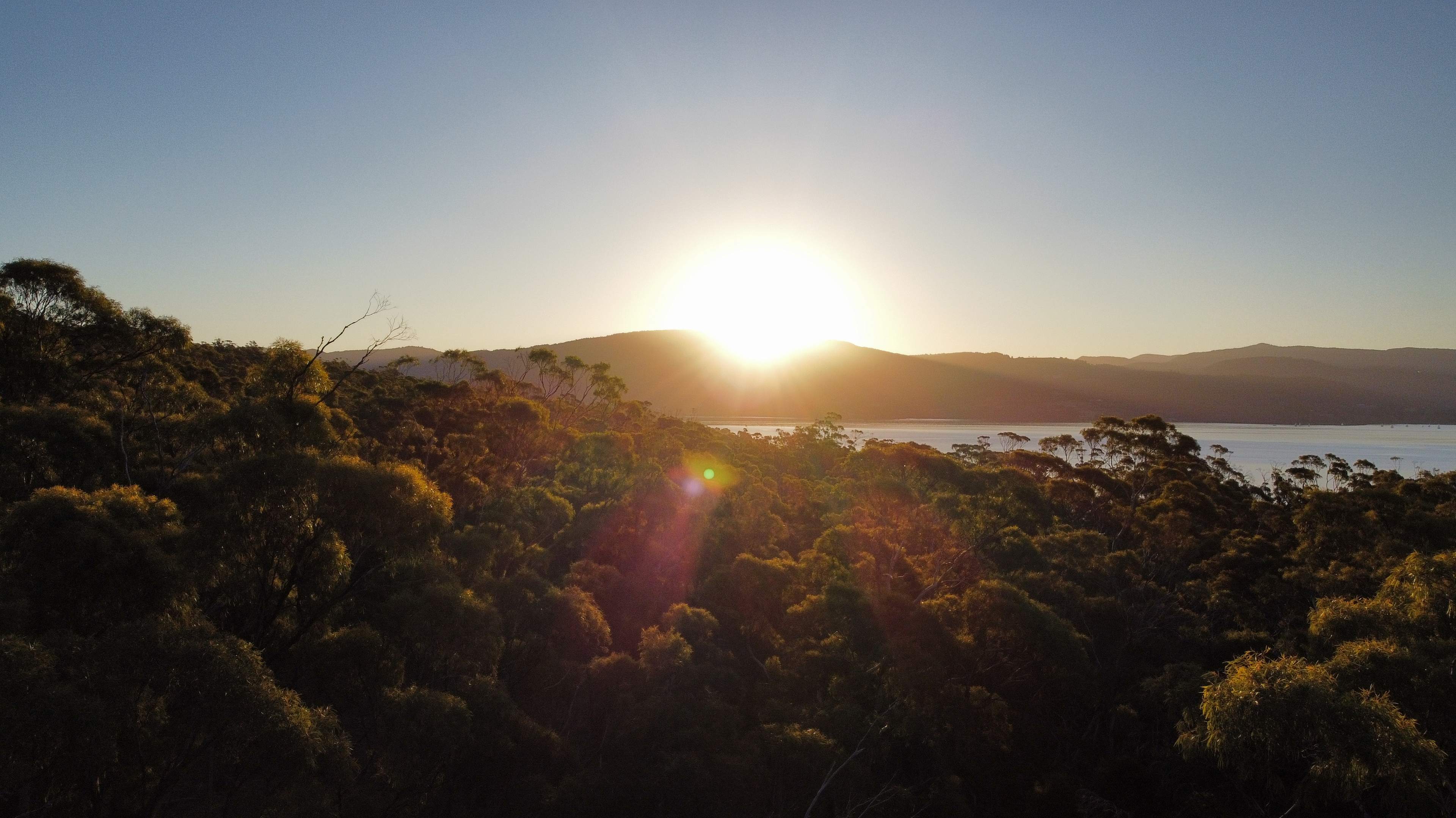 Quoll Hideaway - Bruny Island Bush & Beach camping