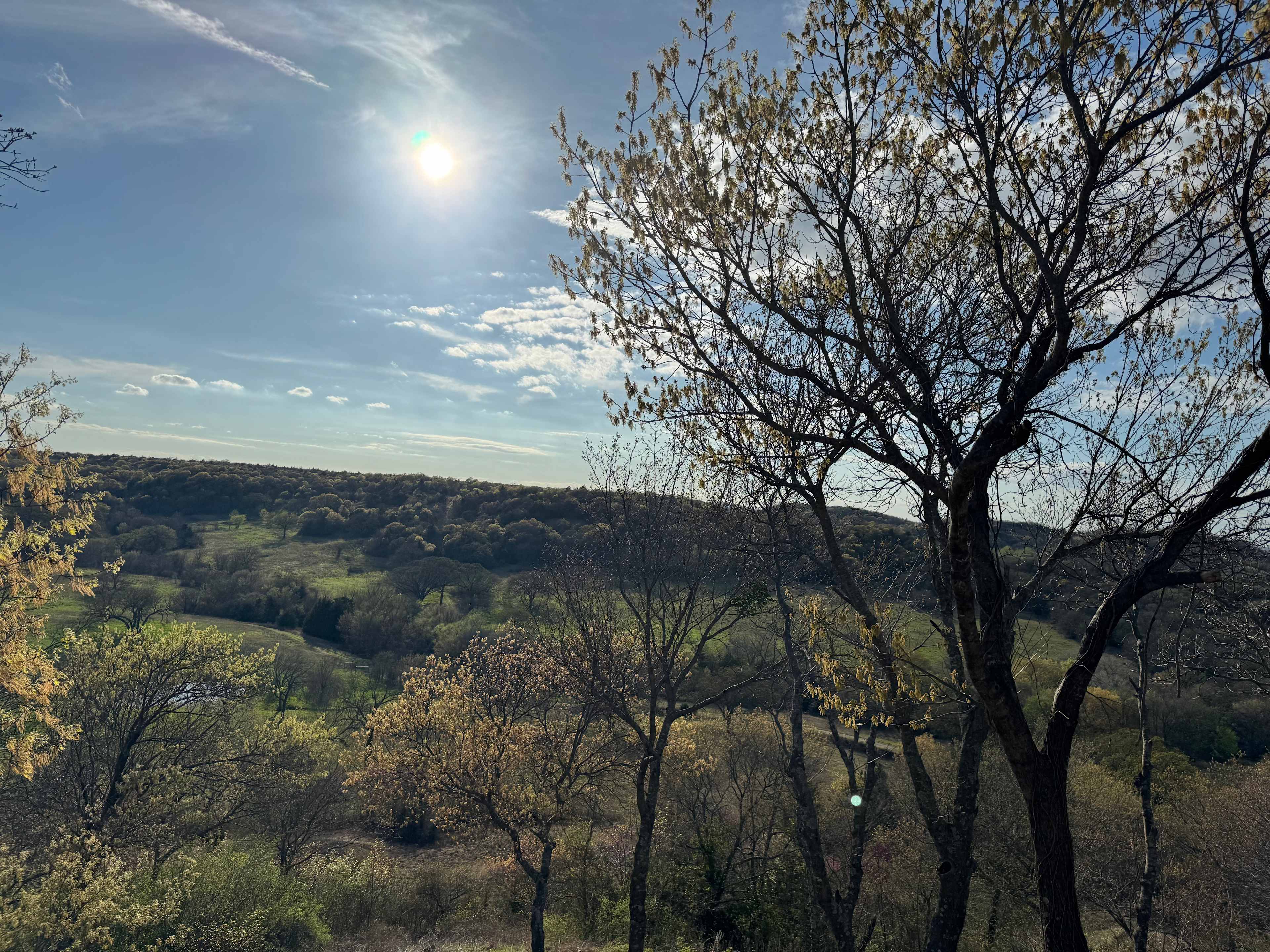 View from the winey’s patio.