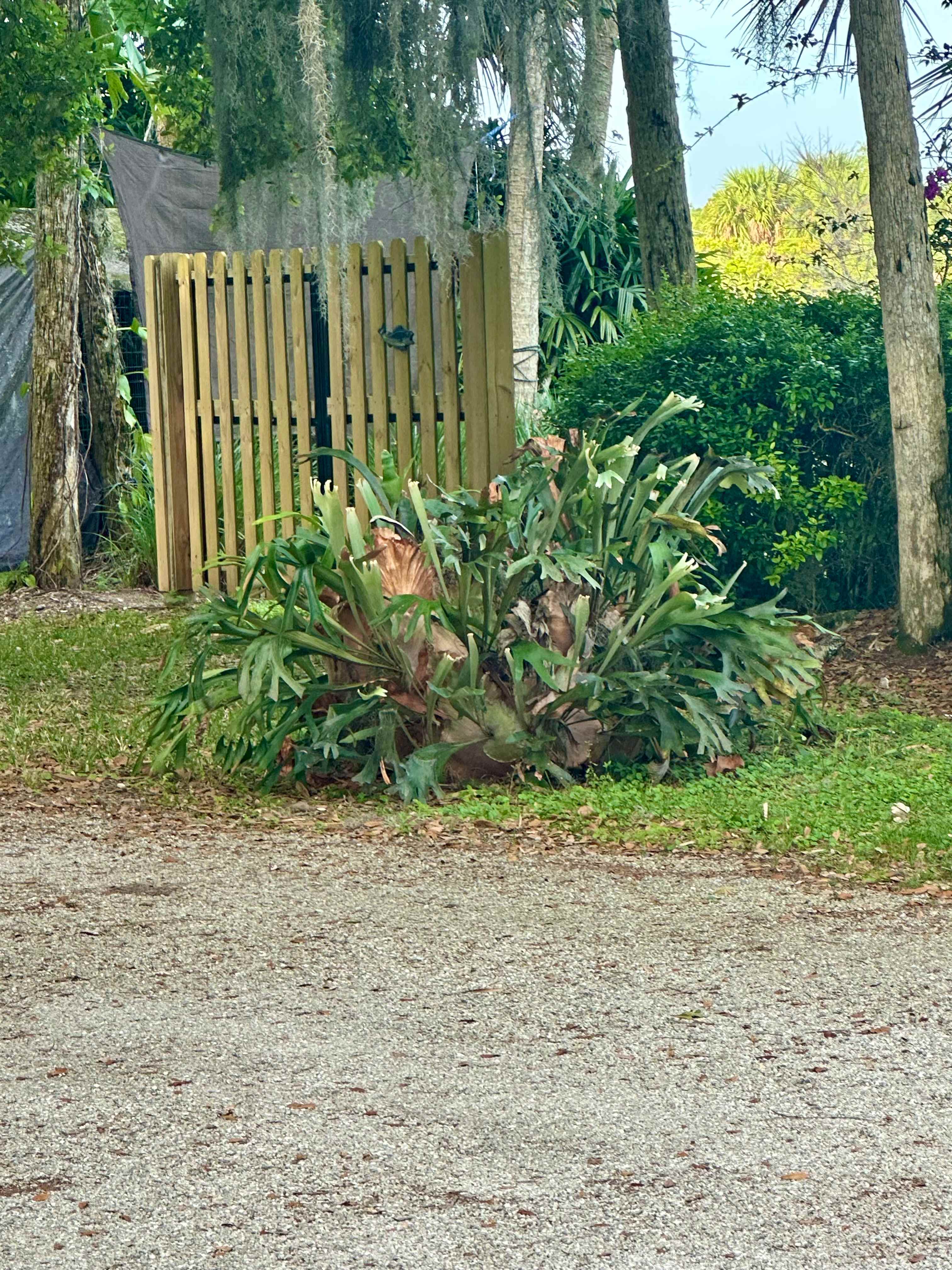 Taste of Old Florida