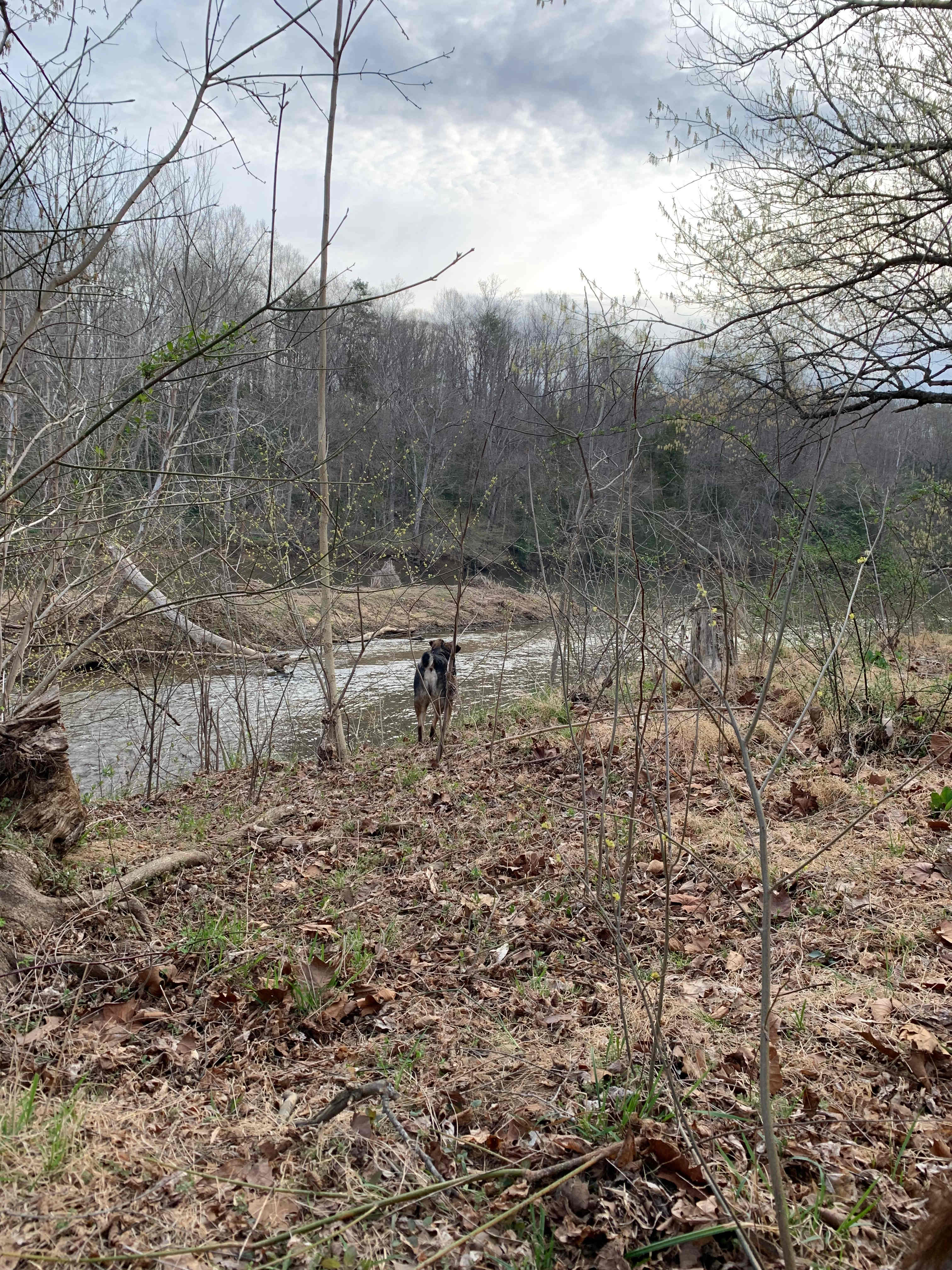 Riverfront Retreat