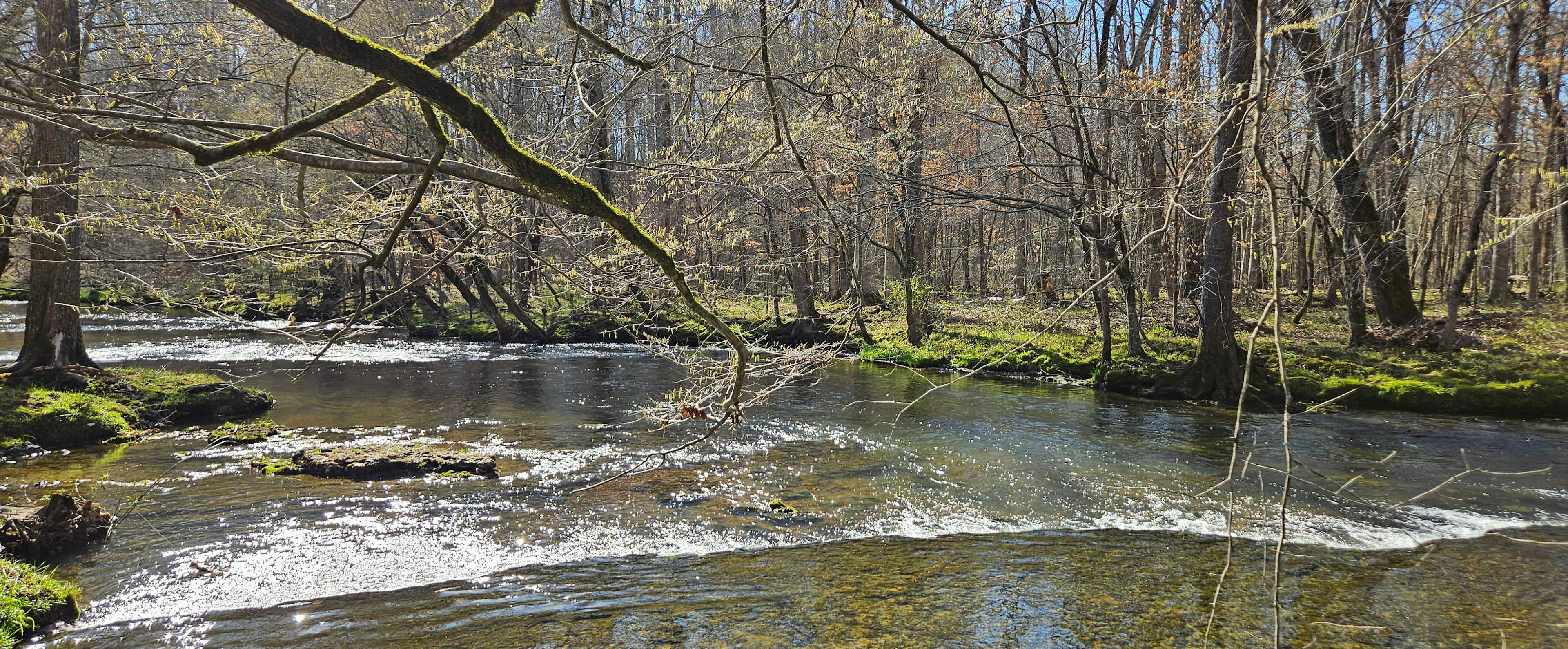 Rock Creek Wooded Campground
