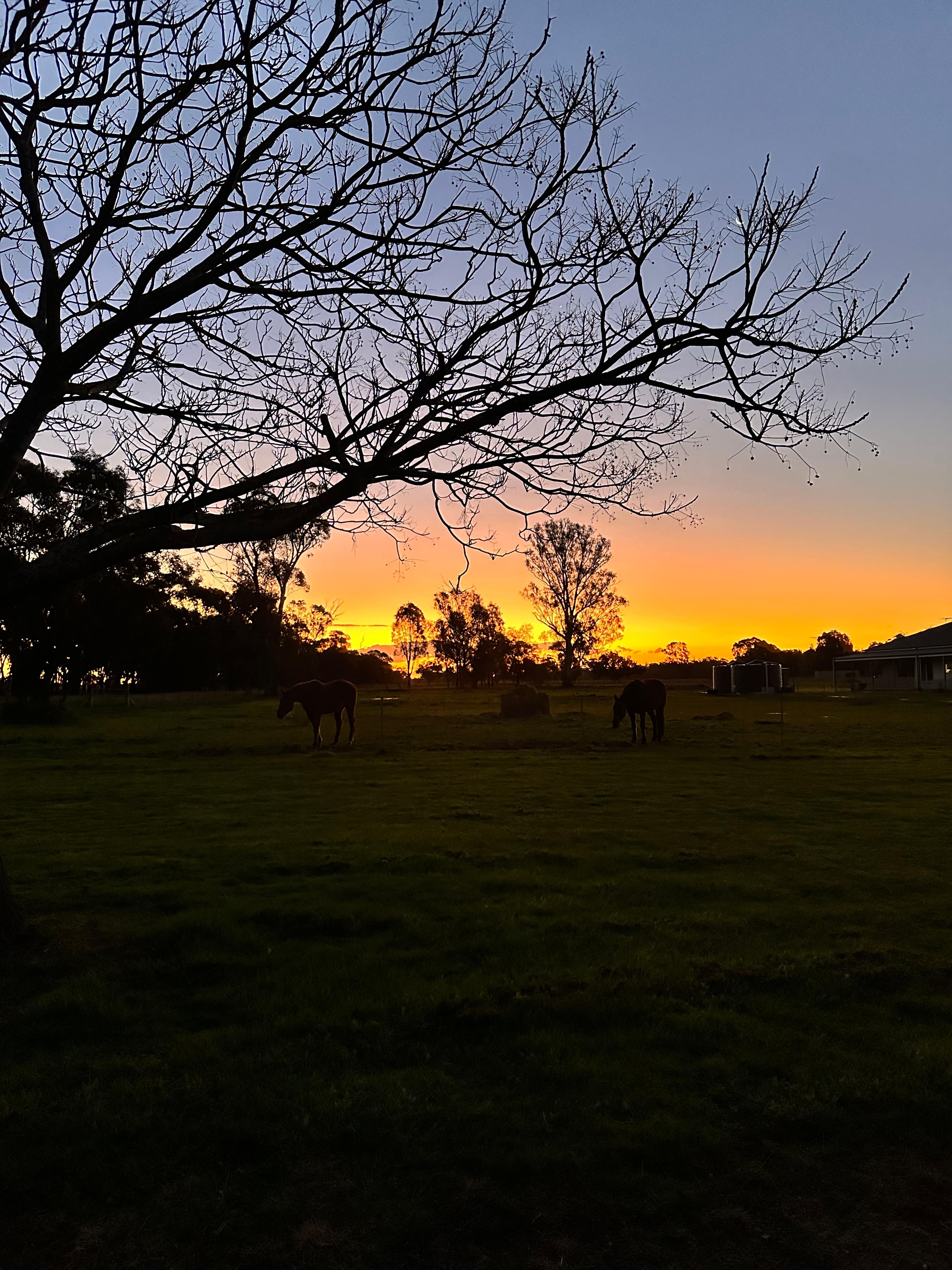 Montpelier at Lake Moodemere
