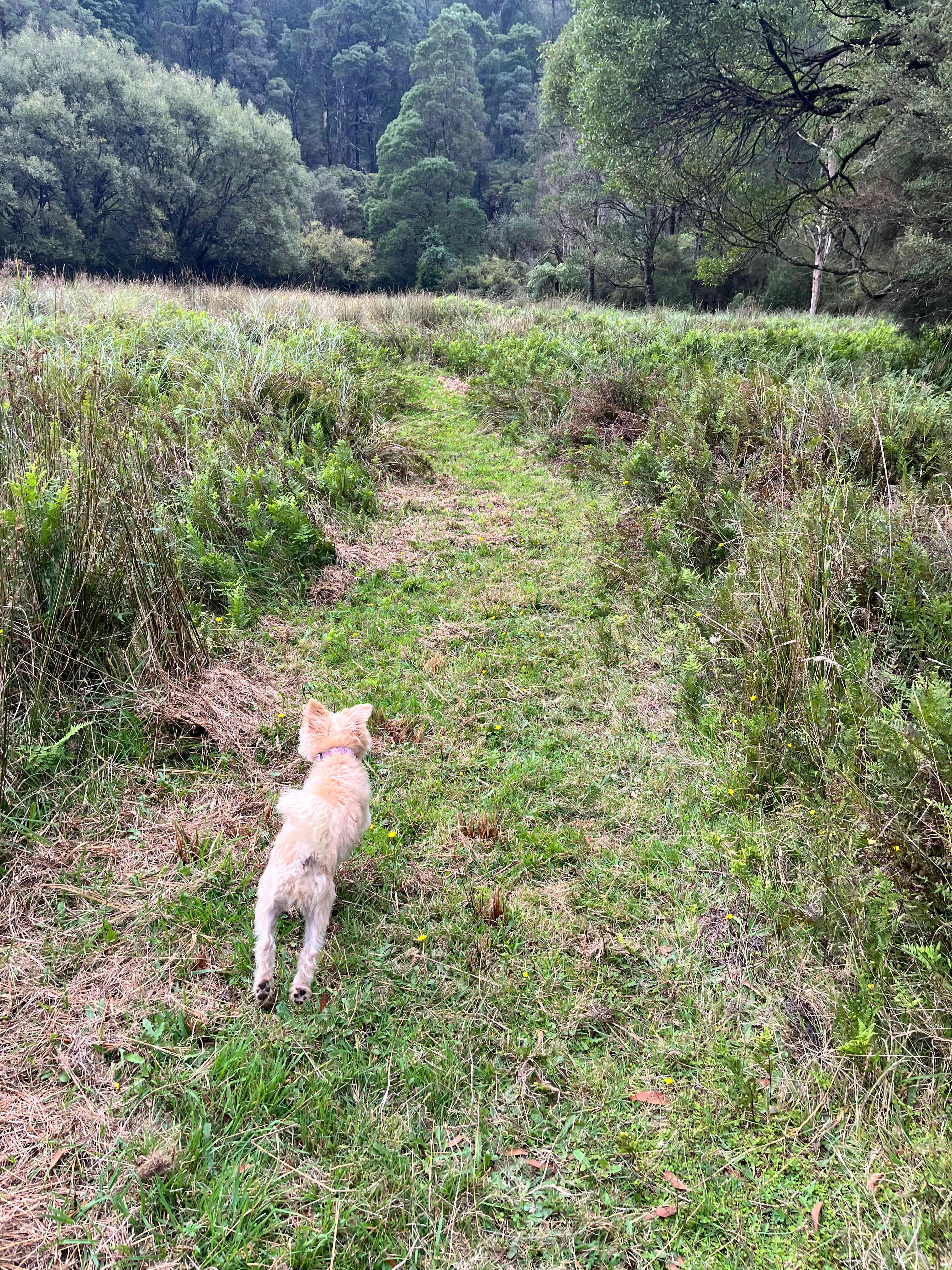Organic Farm & Riverside Camping