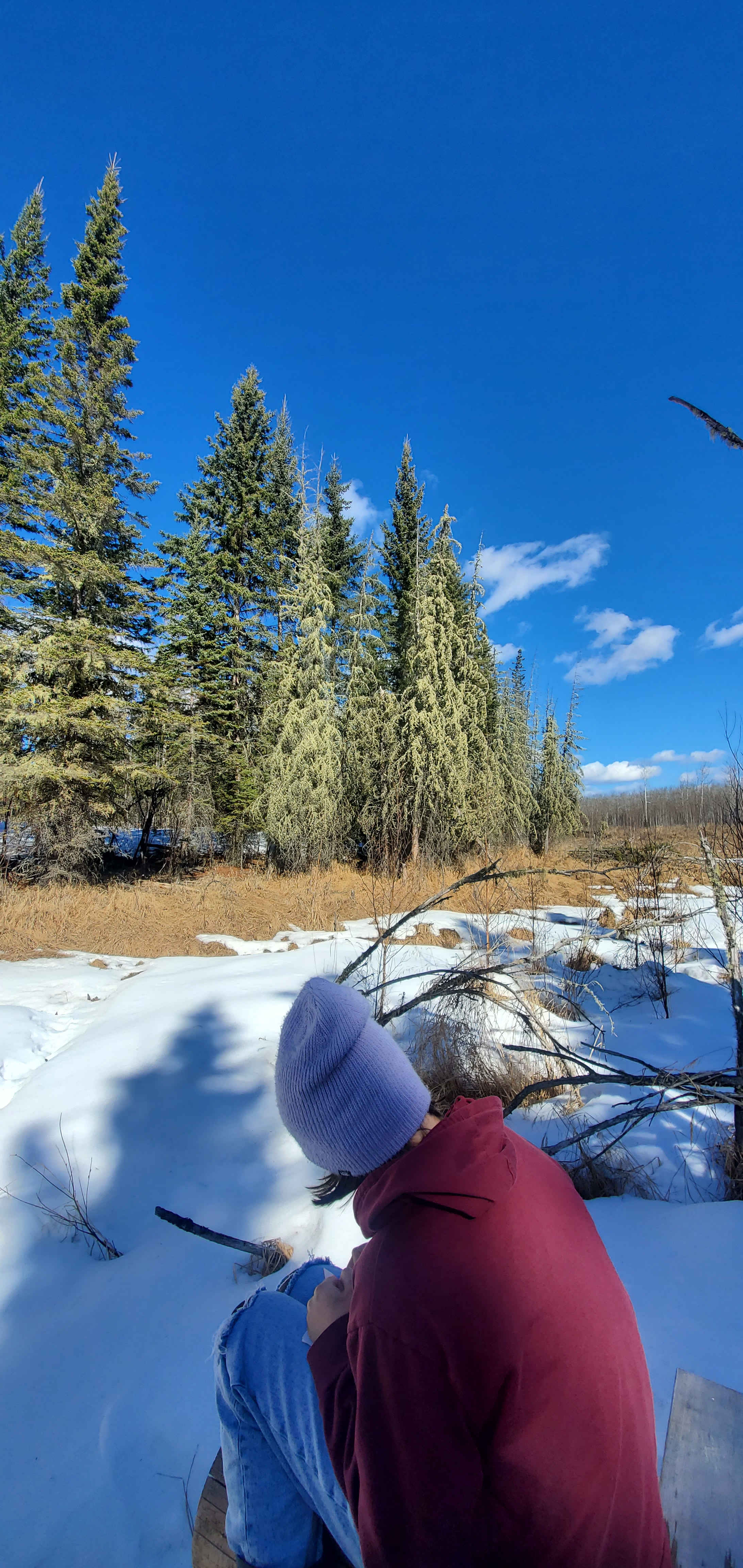 Nature Alive Adventures and Camping