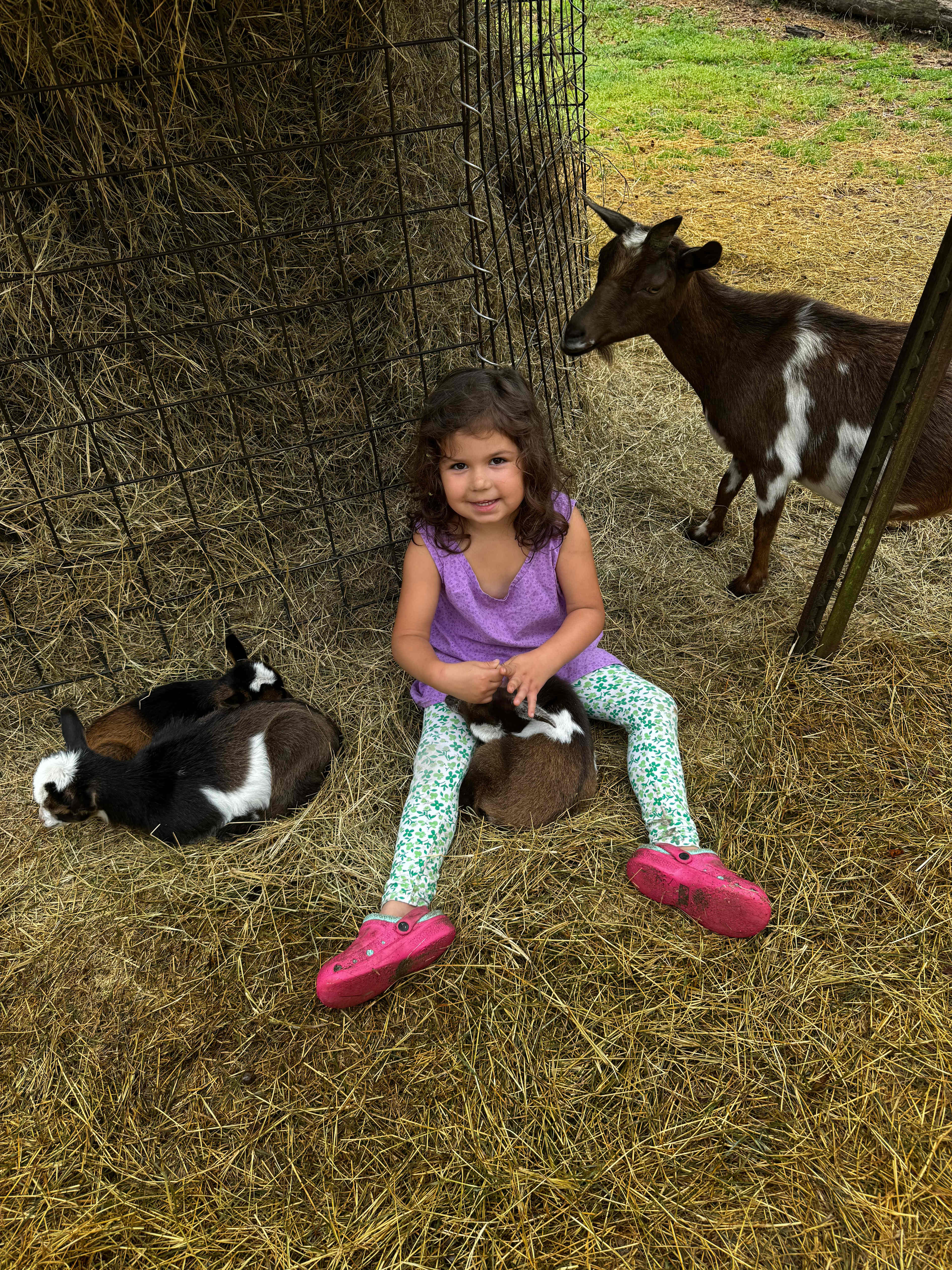 Goat House Farm