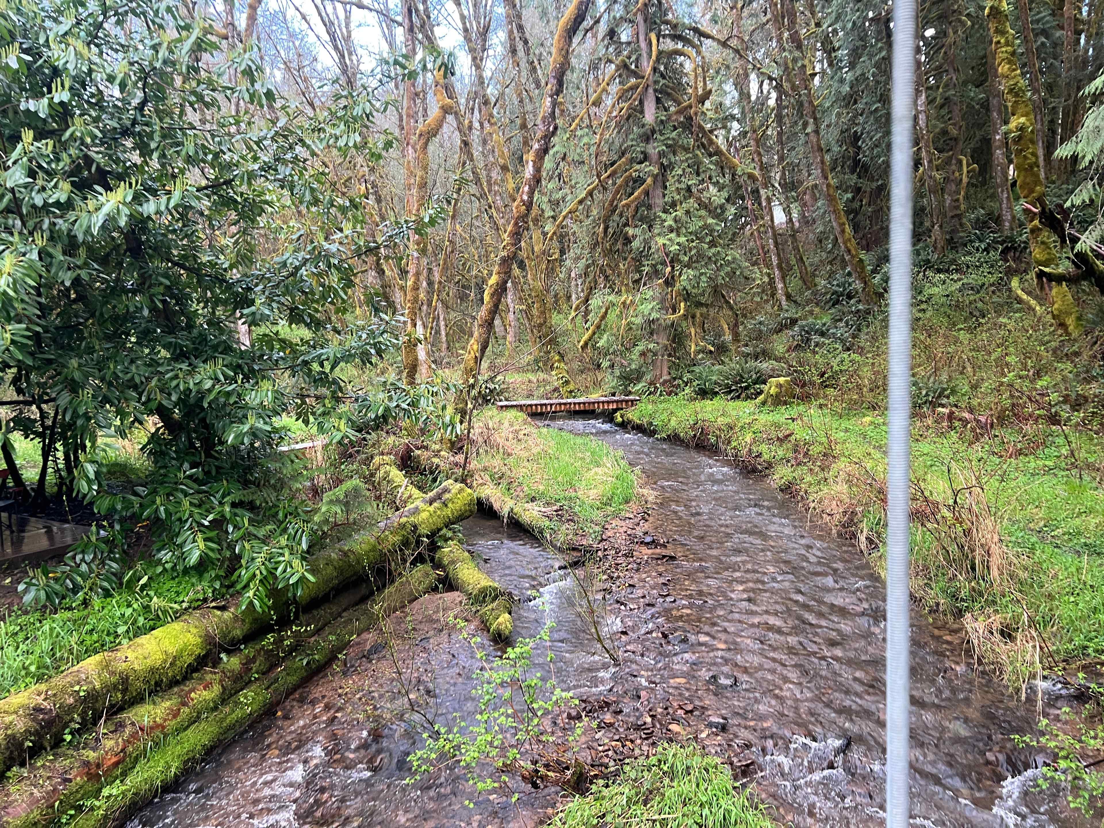 Creek from suspension bridge 
