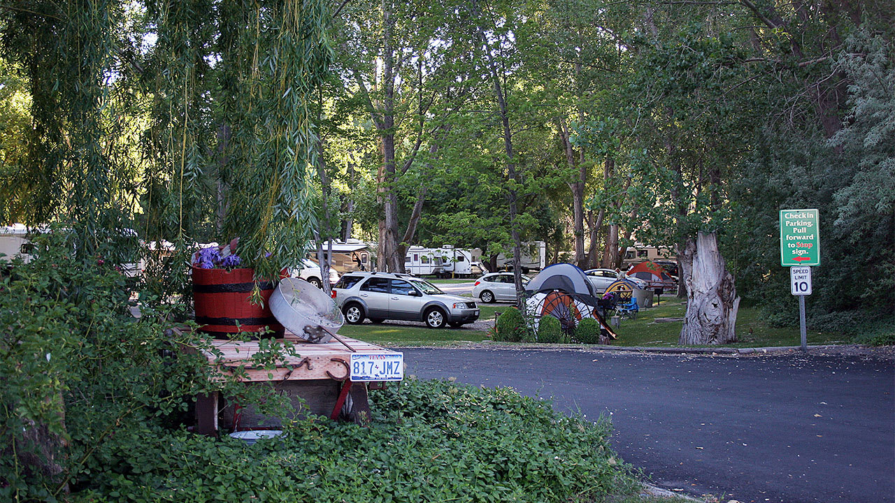 Picture of the site