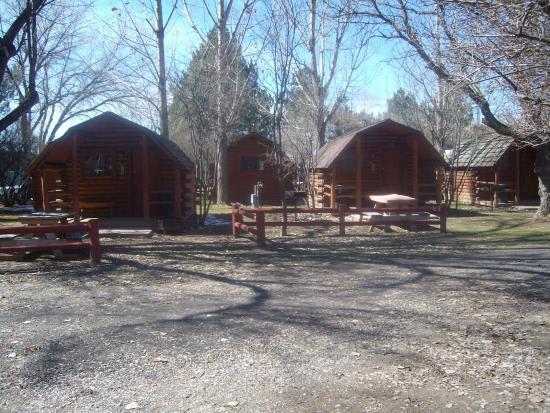 Pet Friendly Cabins