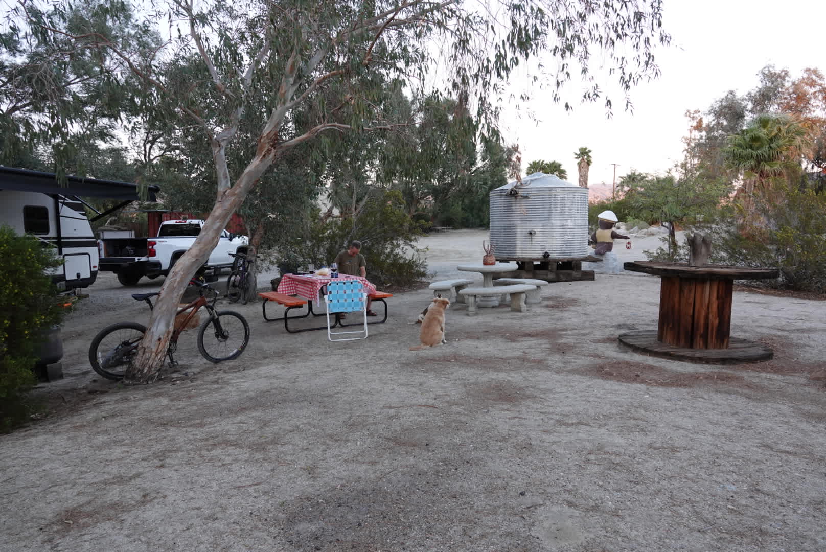 Picture of the site
