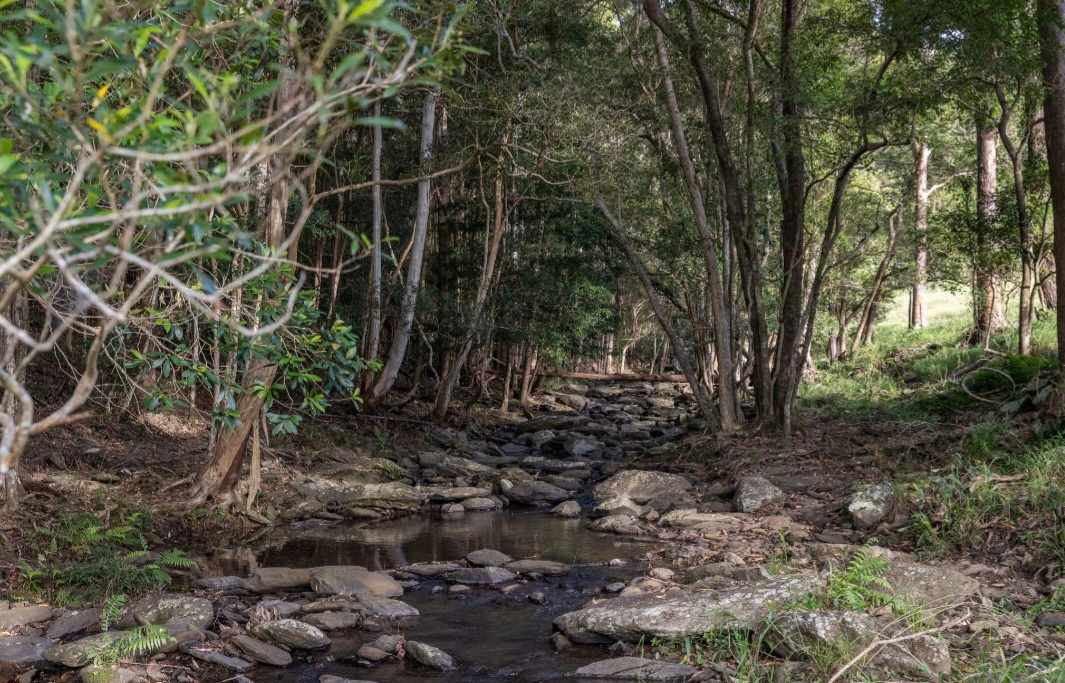 Coorie Vale