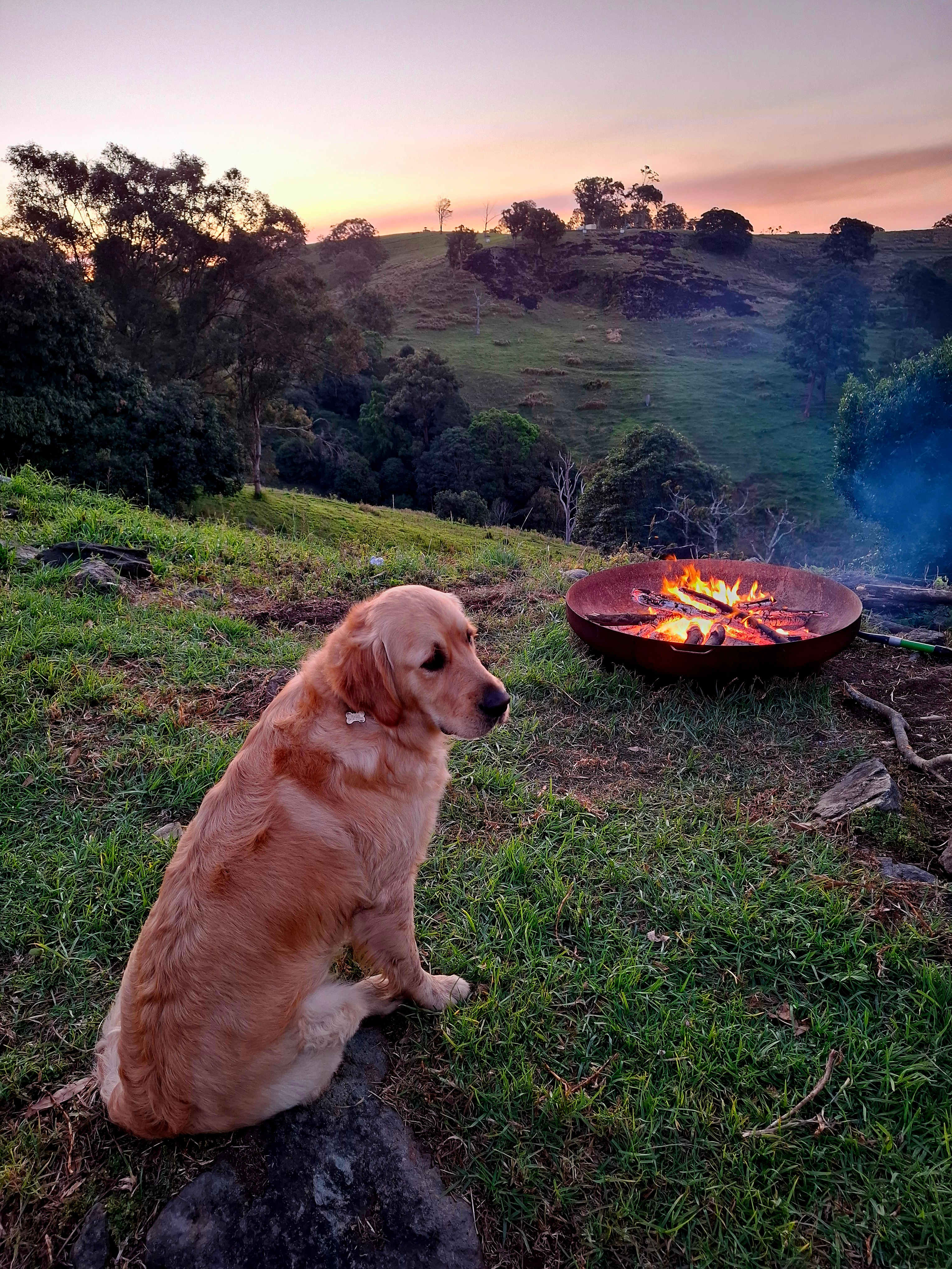 Coorie Vale