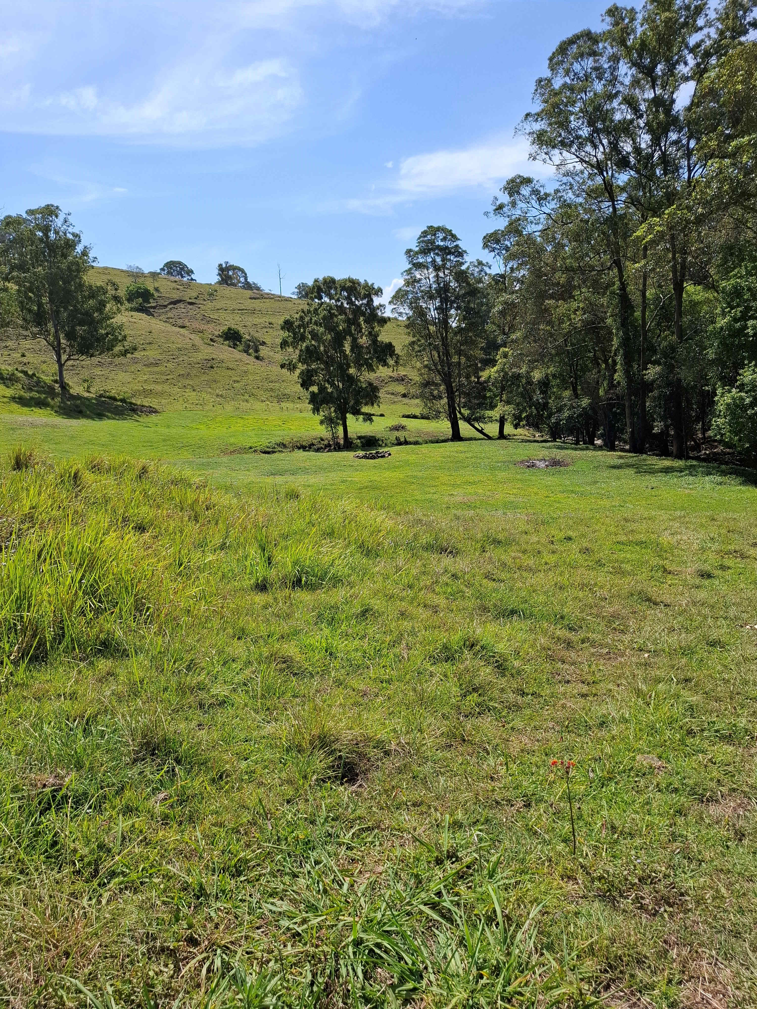 Coorie Vale