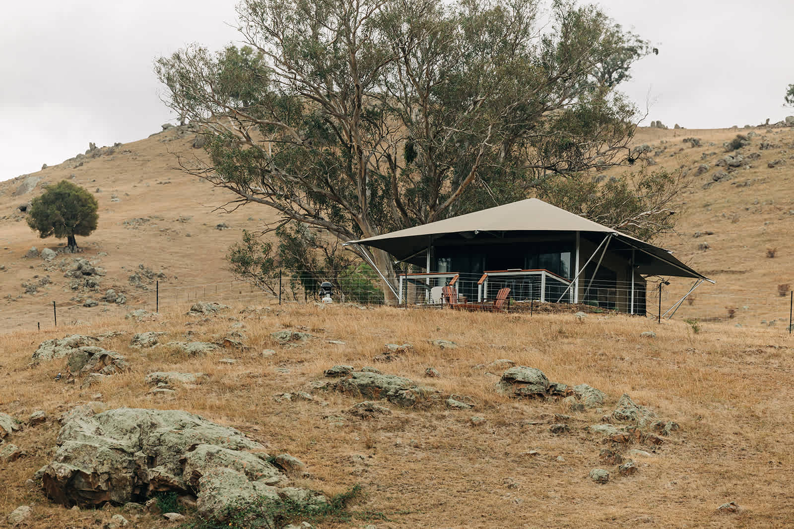 Jarabin on the Murrumbidgee