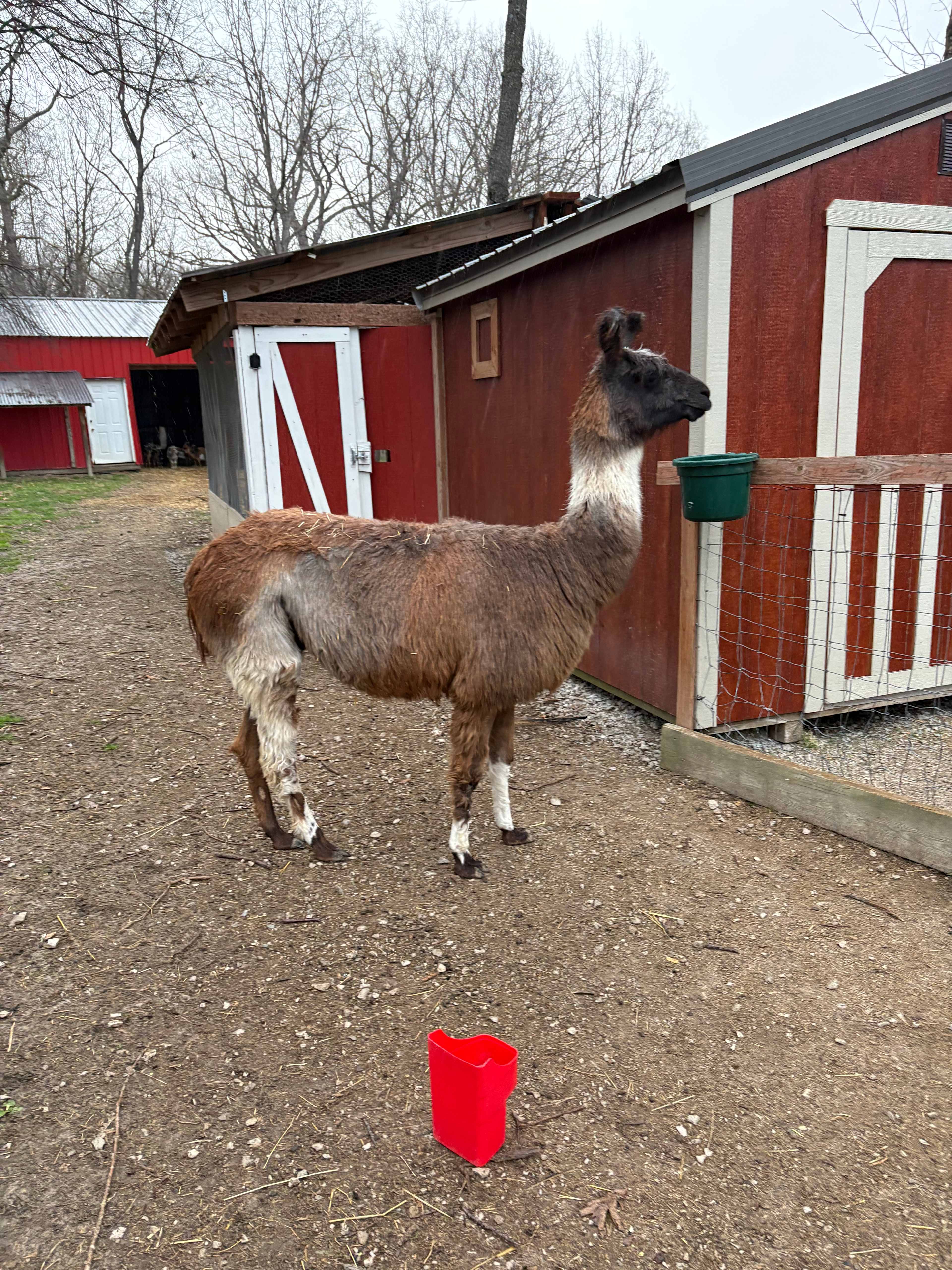 Emerald Acres Farm