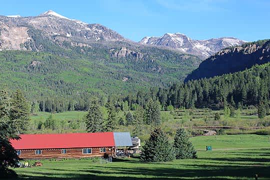 Picture of the site