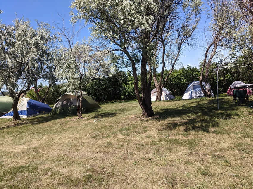 Black Hills Meadow