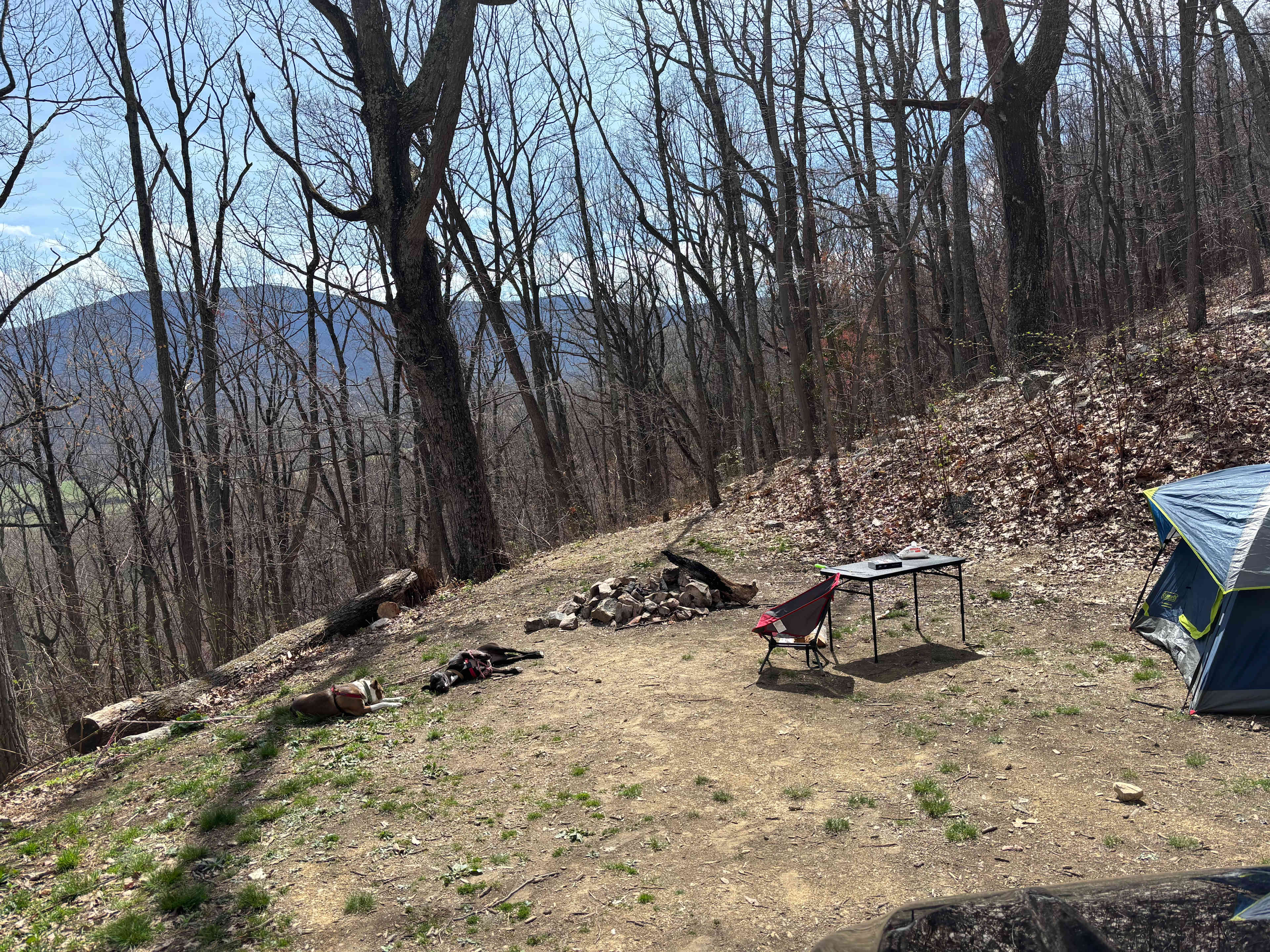 Shenandoah Valley MTN
