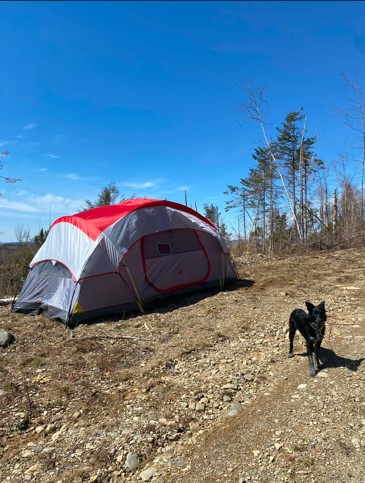 Infinite Skyline Camping