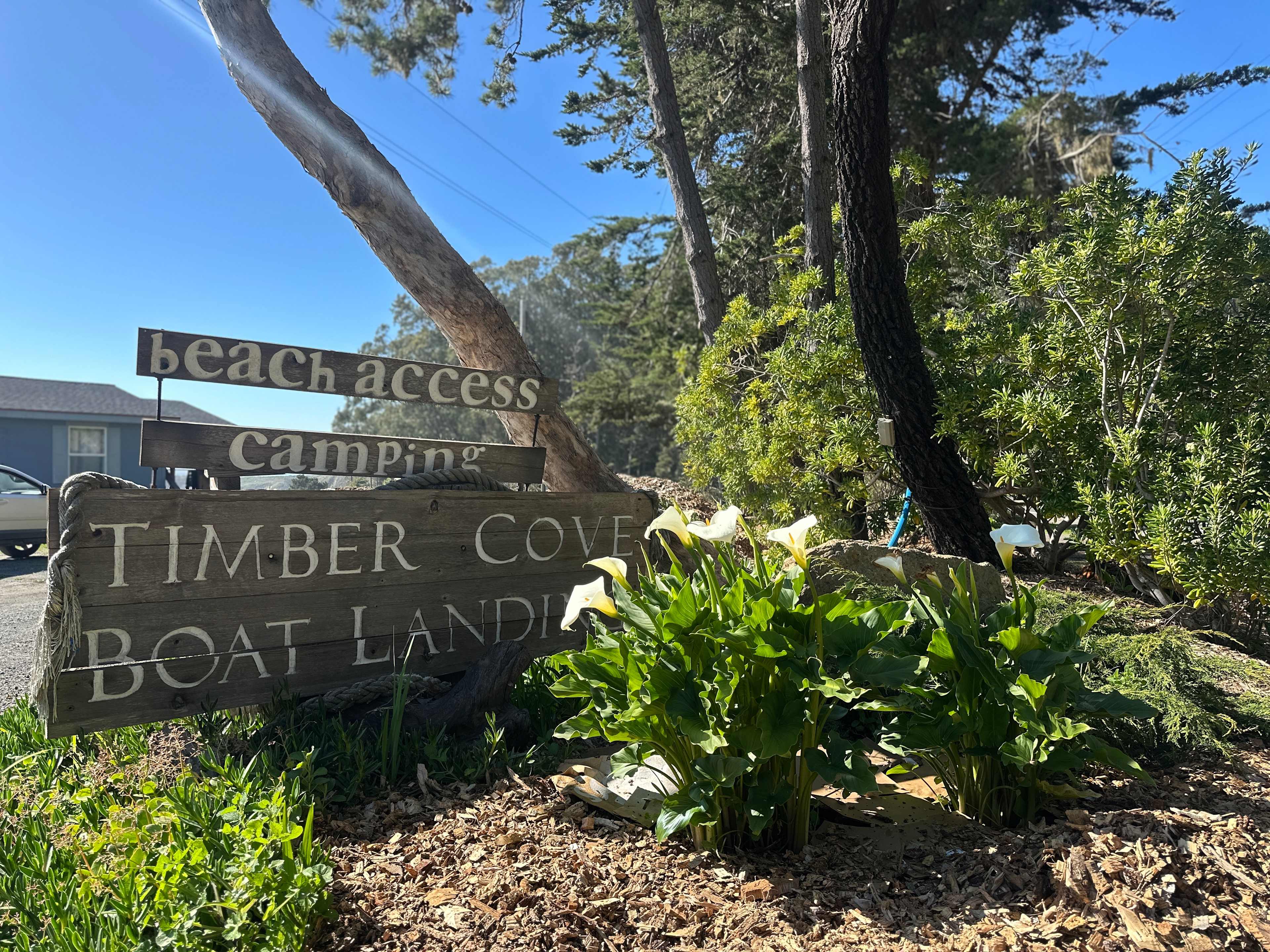 Timber Cove Campground