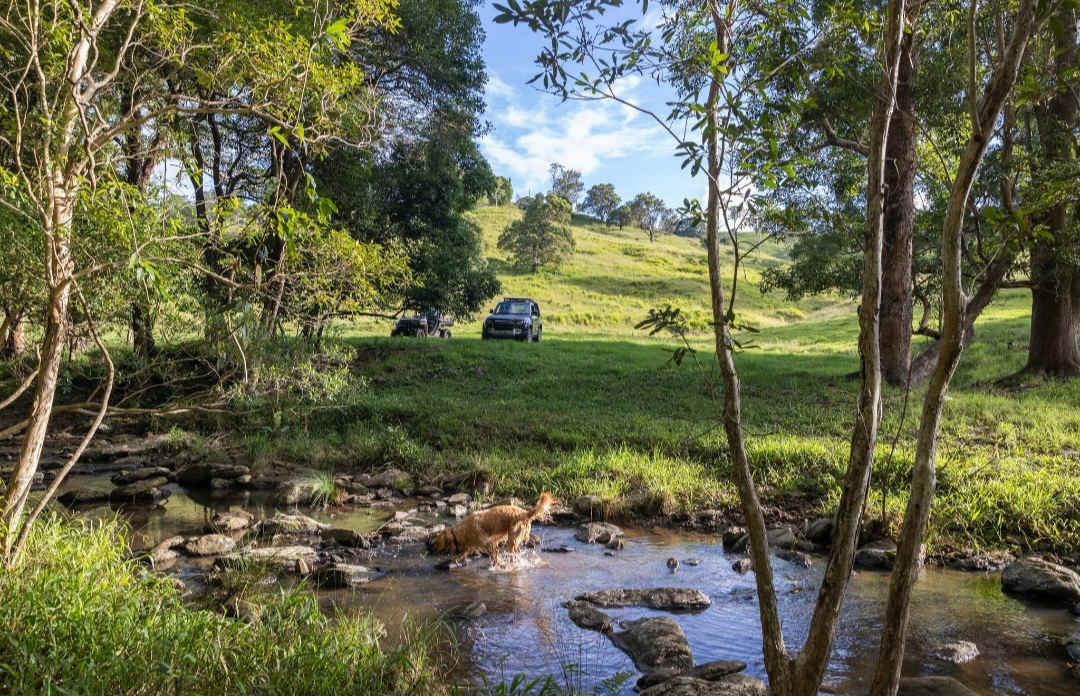 Coorie Vale