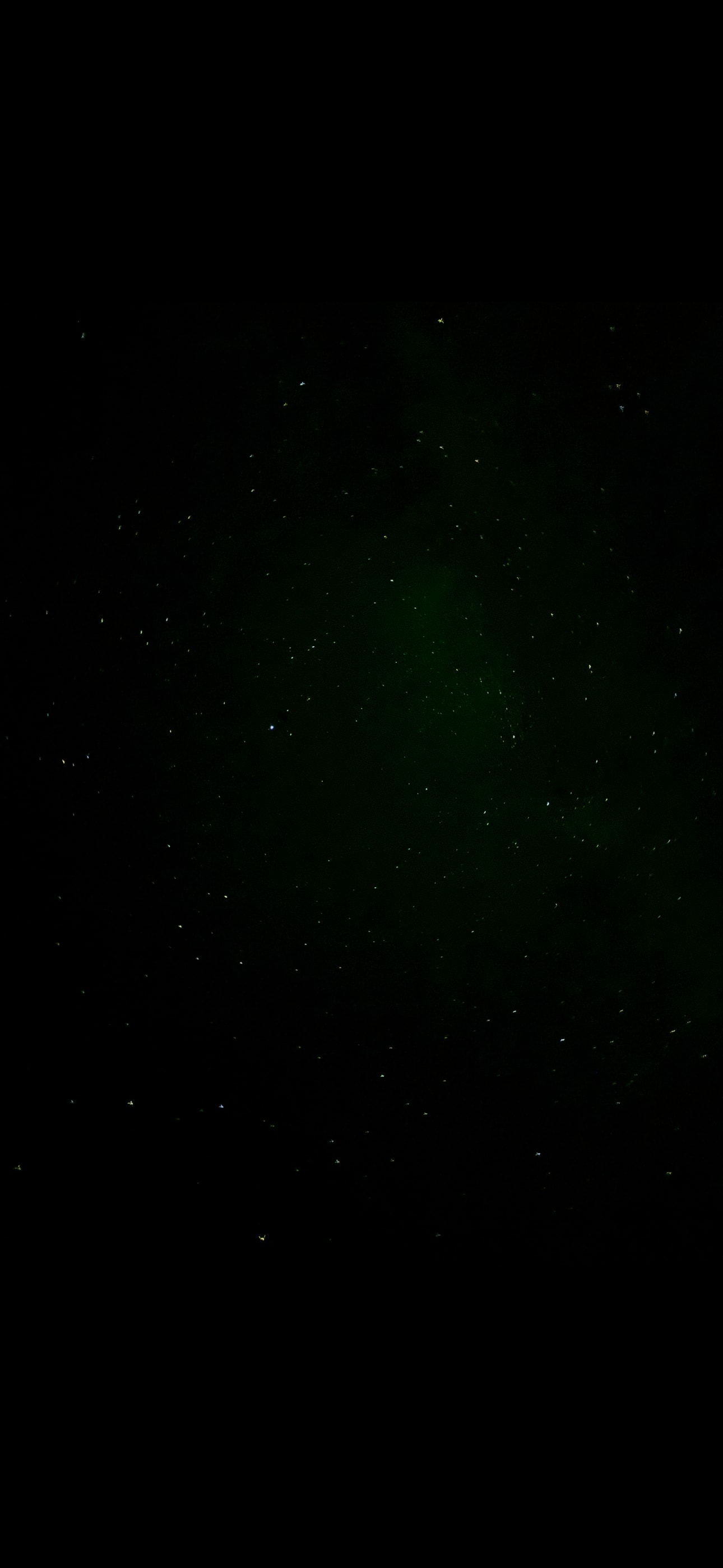 Starry night in Terlingua 