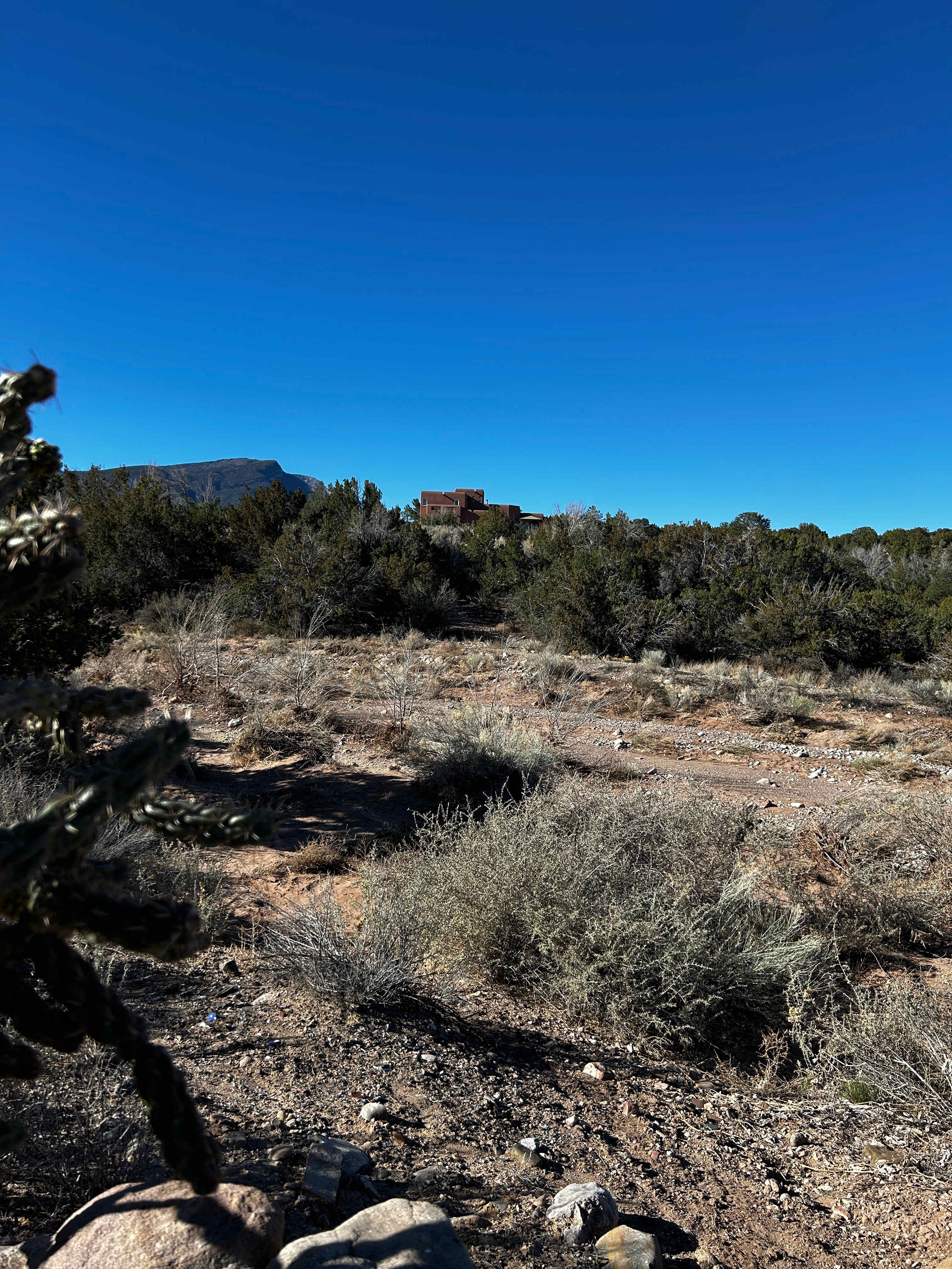 Tierra del RavenTree