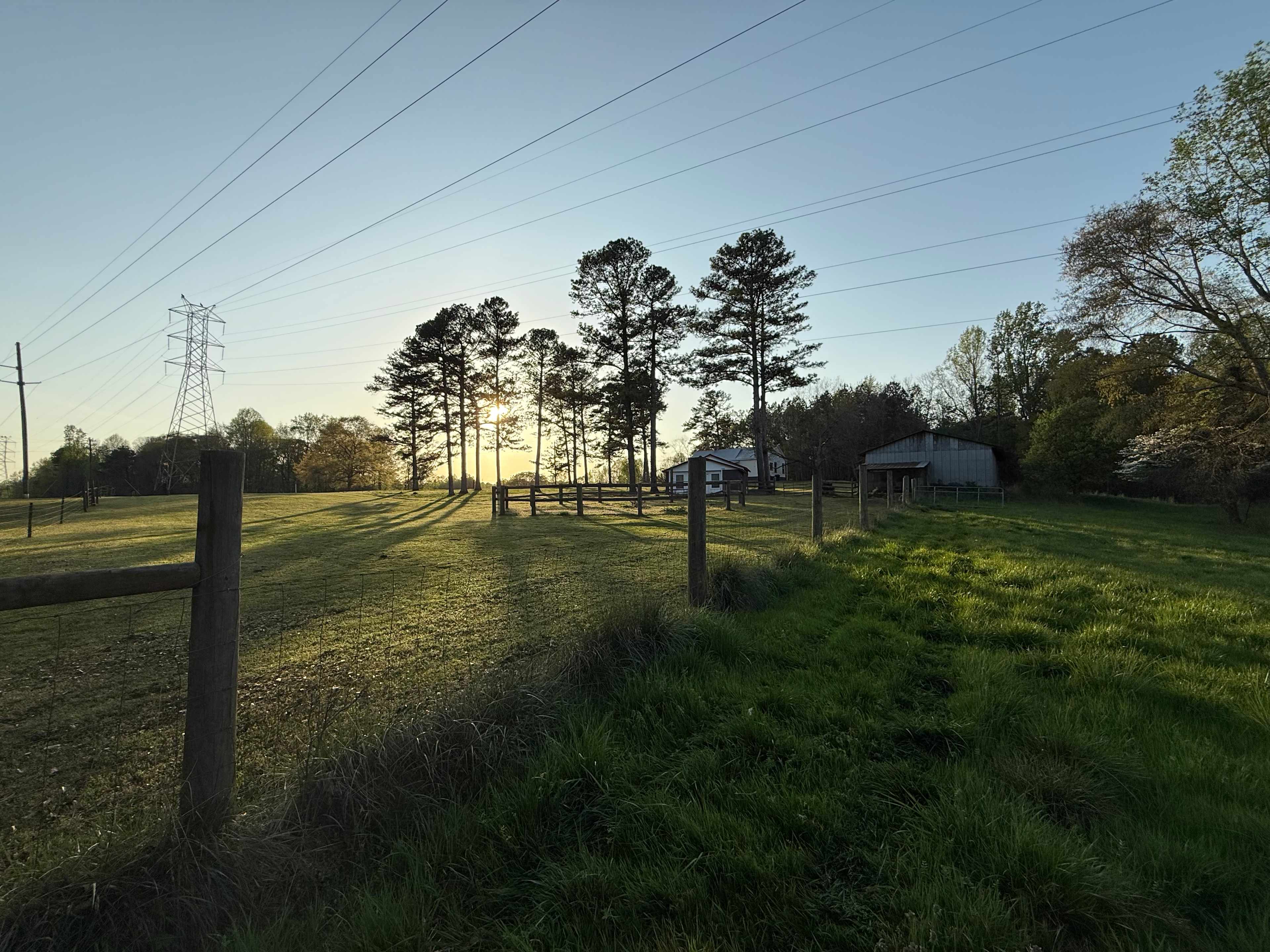 Pecan Grove Farm