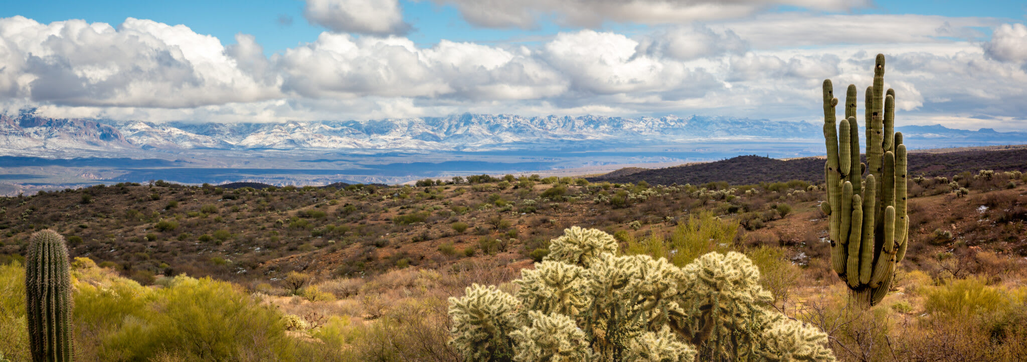 Buckeye Ranch RV Resort