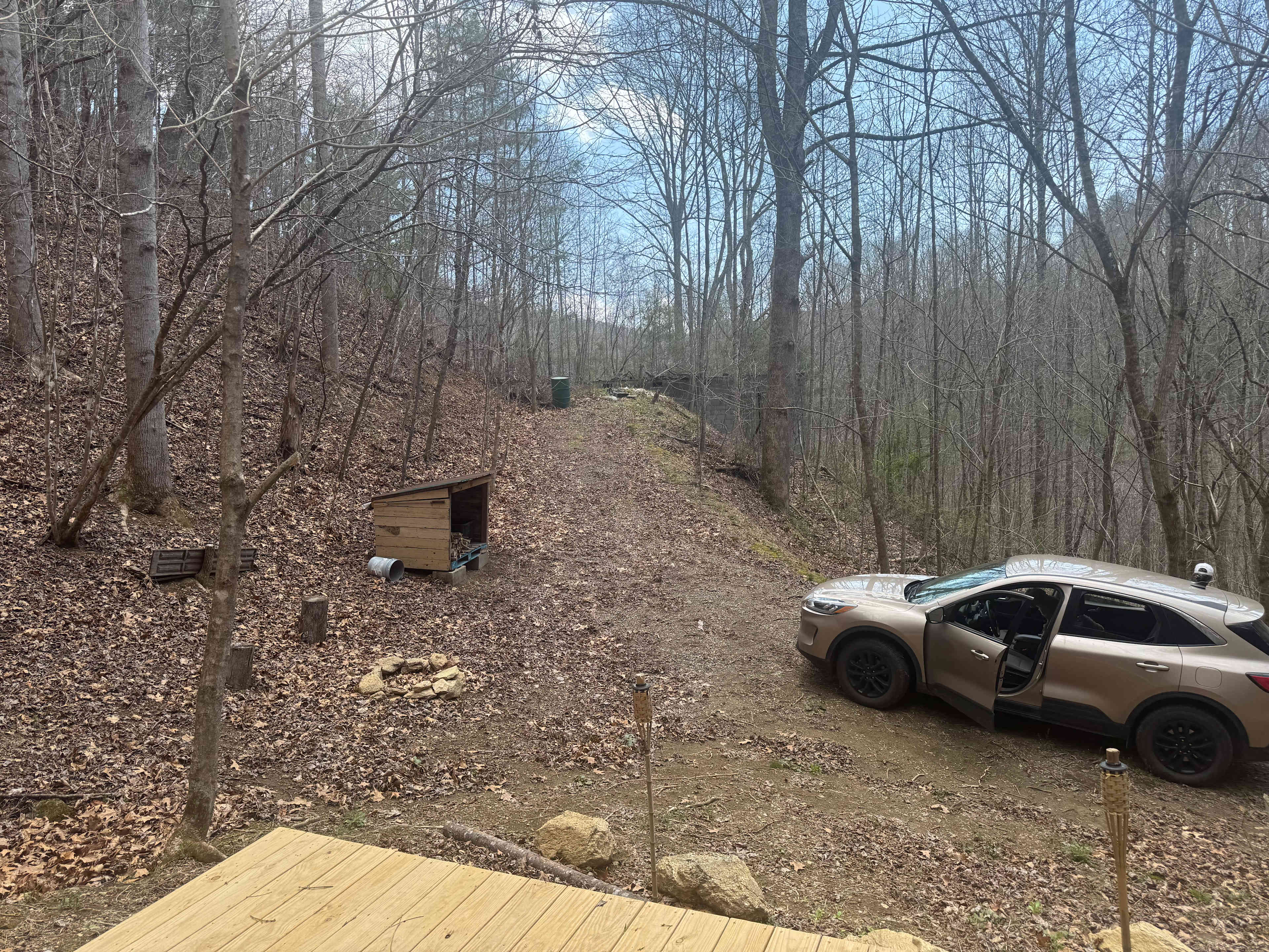 Picture of the site