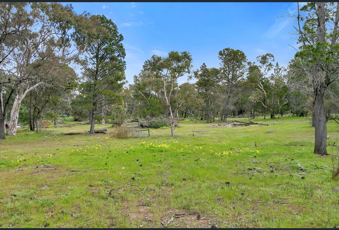 Sandy Hill: Lyndoch, Barossa Valley