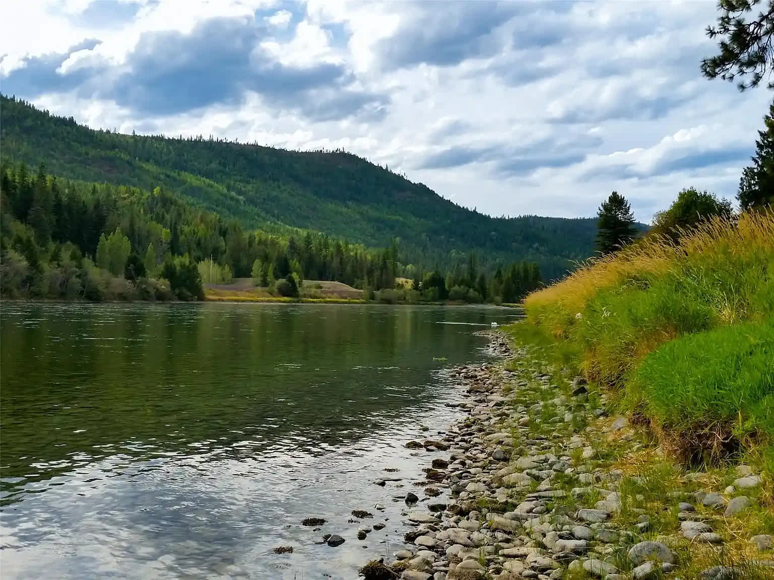 Dick's Blue Ribbon Fish Camp