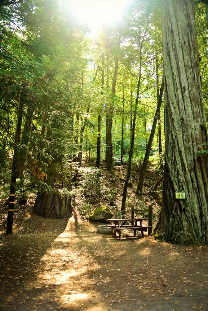 Redwoods River Resort