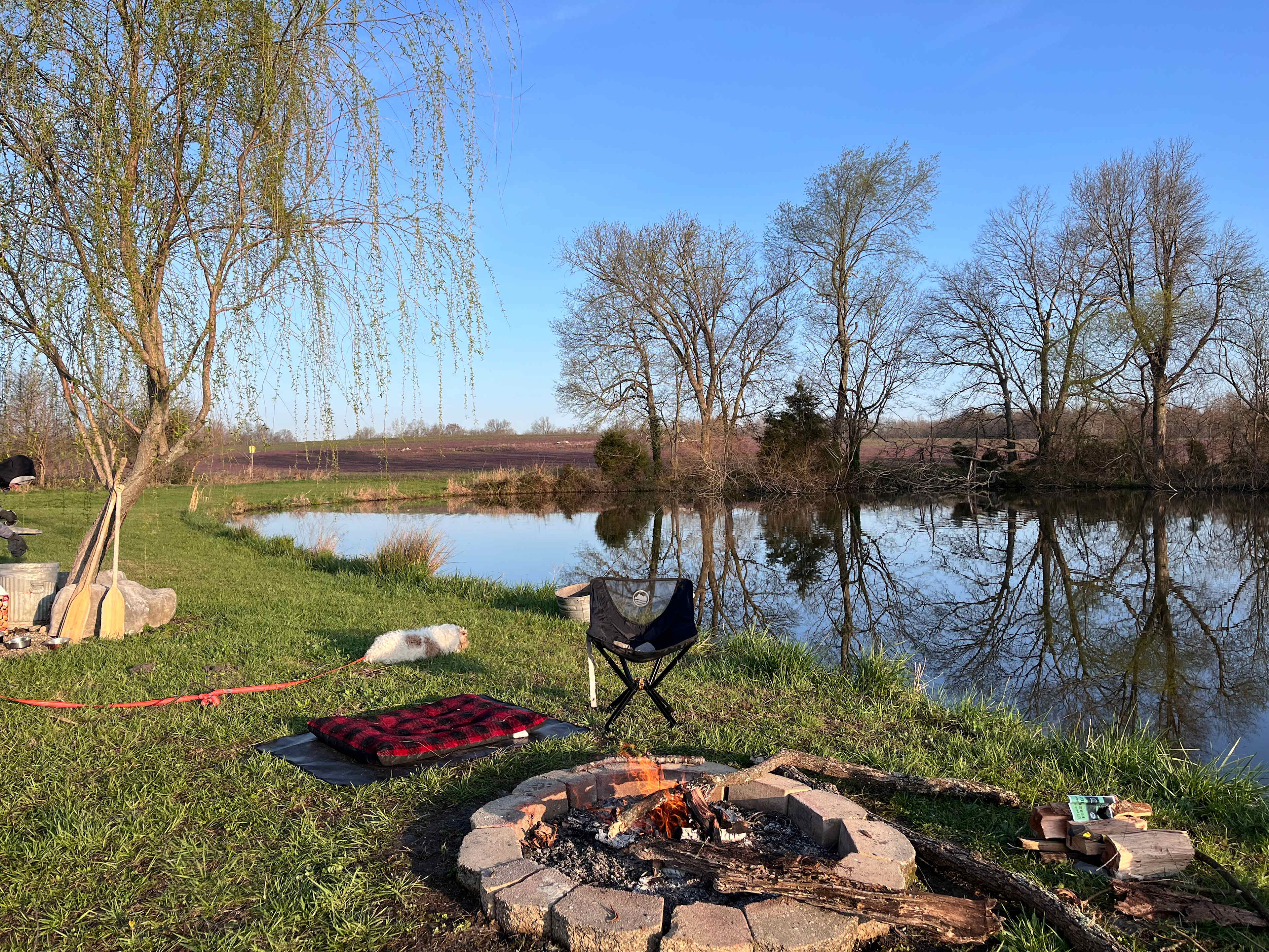 Willow Pond