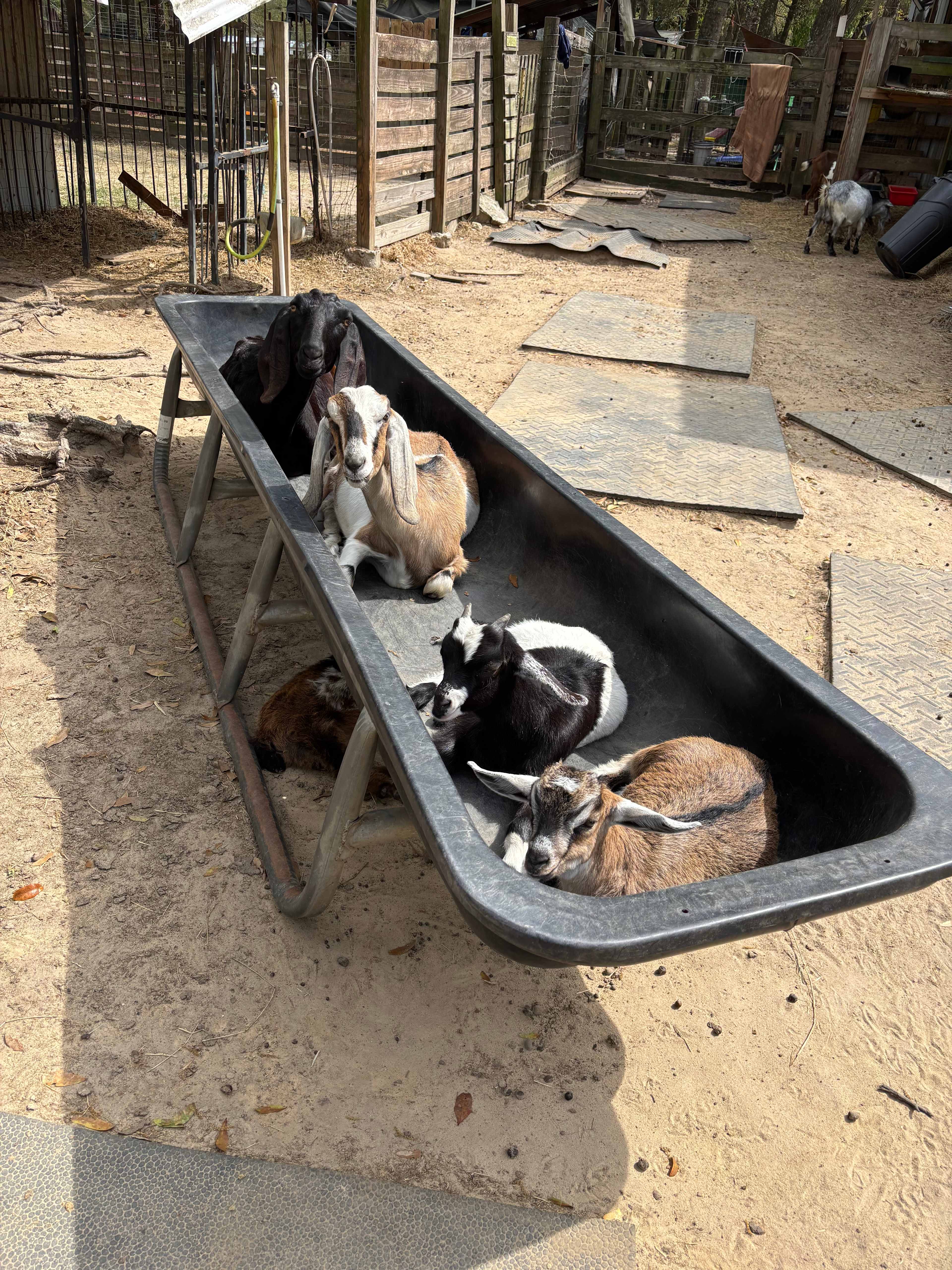 Goat House Farm