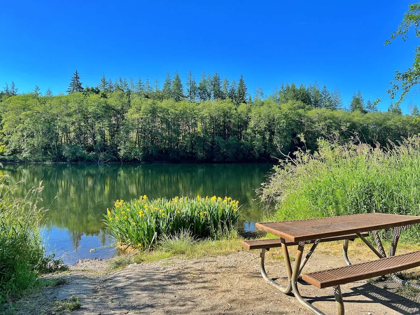Grandy Lake Campground