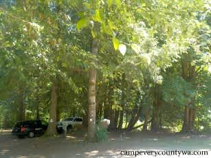 Dewatto River Campground