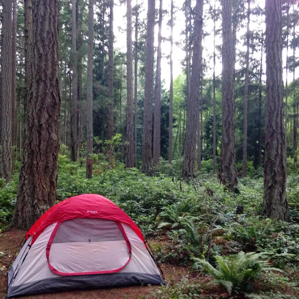 Rhododendron Park
