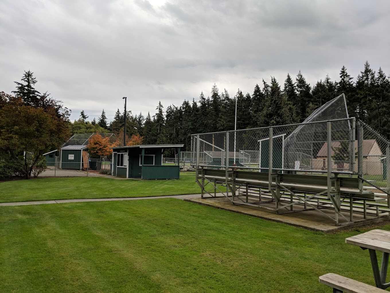 Rhododendron Park