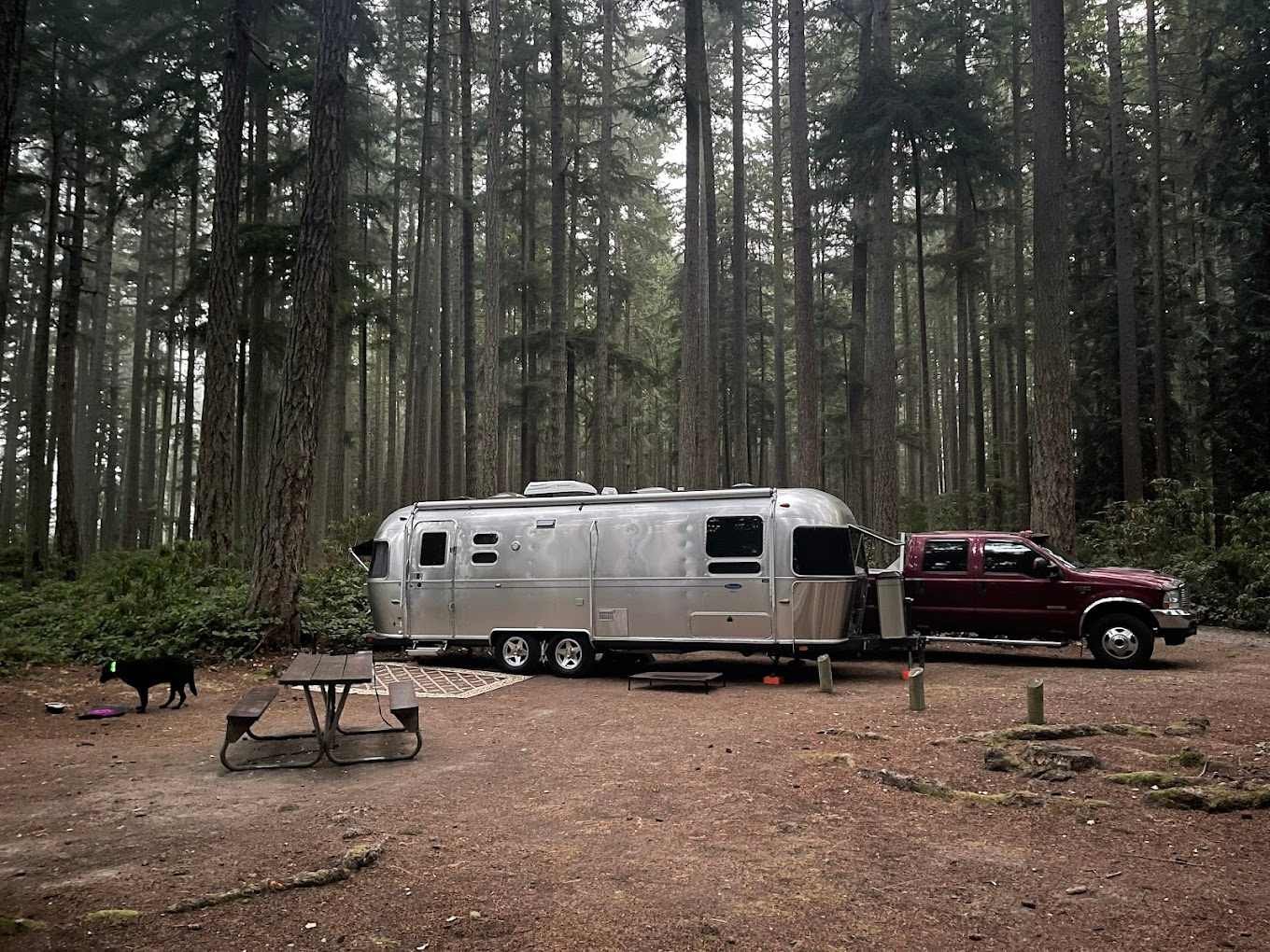 Rhododendron Park