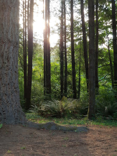 Kid Valley Campground