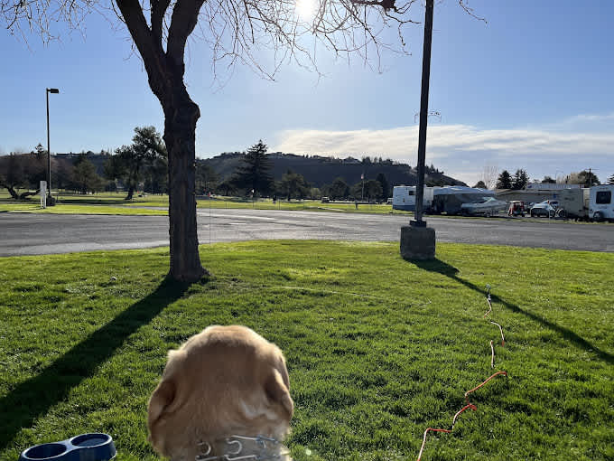 SunTides RV Park