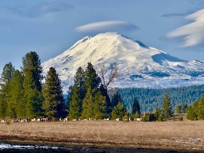 Elk Meadows RV Park