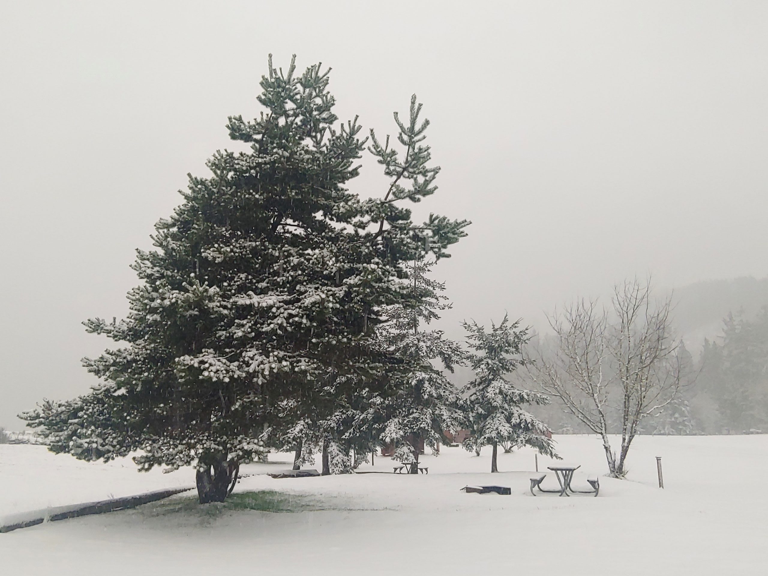 Skamokawa Vista Park