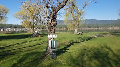 Willow Bay RV Resort & Marina